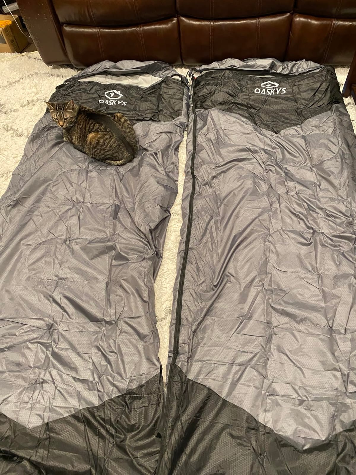 Camping Sleeping Bag - 3 Season Warm & Cool Weather - Summer Spring Fall Lightweight Waterproof for Adults Kids - Camping Essentials Gear Accessories Hiking Sleep Must Haves customer photo 2