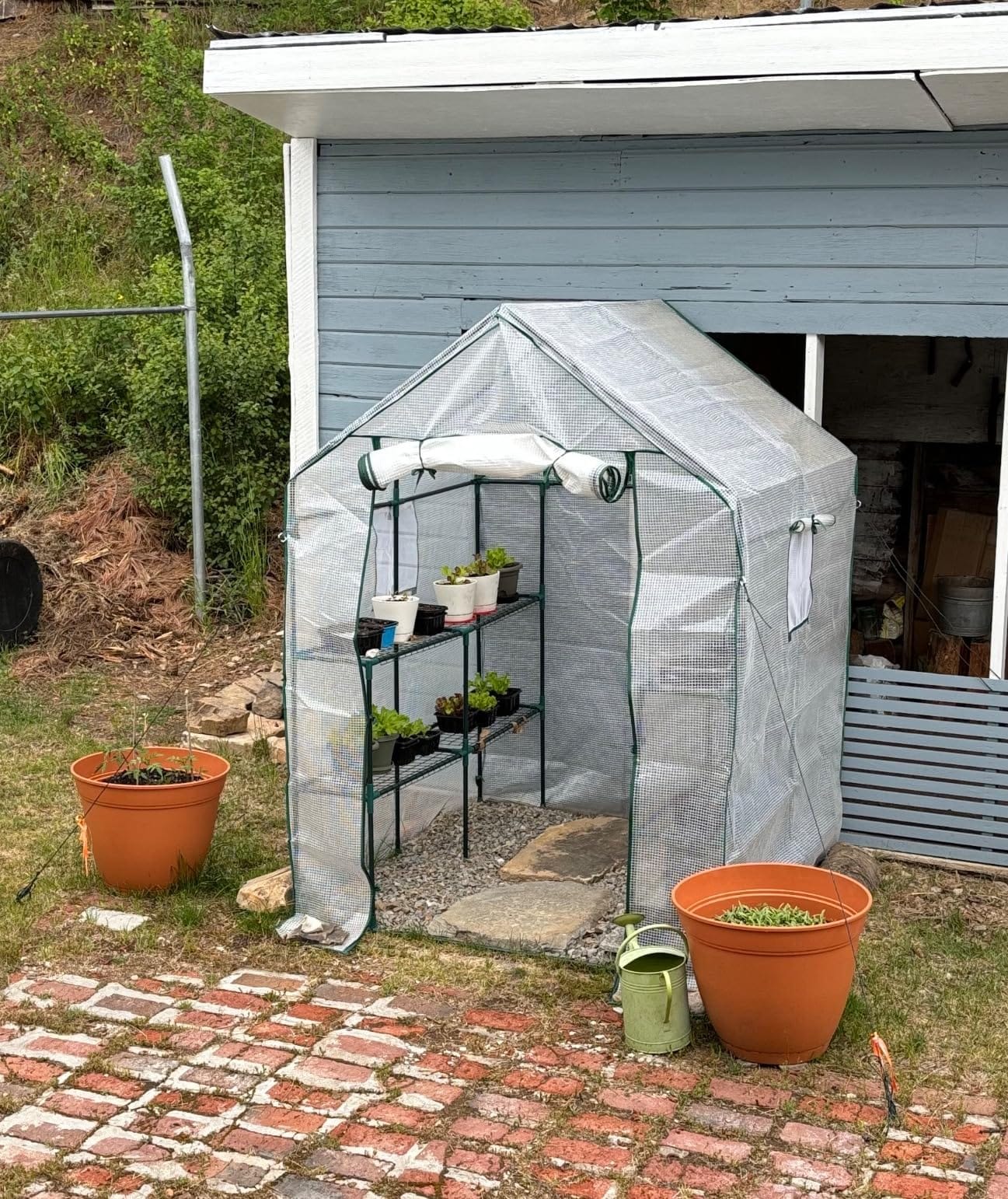 56x30x76 Mini Walk-in Greenhouse, Portable Plant House with 3-Tier Shelves | PE Cover, Roll-Up Door, 3-Tier Shelves, Steel Frame, Stakes and Ropes for Seedlings, Flowers and Seasonal Plant Protection customer photo 2