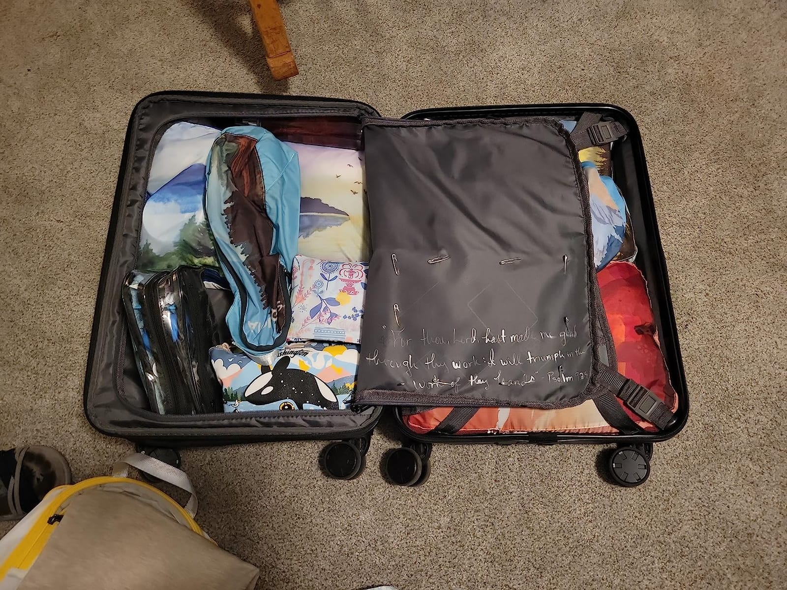 LEVEL8 Grace Carry on Luggage Airline Approved, 20 Inch Expandable Hard Sided Luggages with Spinner Wheels, Harshell Small Rolling Suitcase for Women Men with Tsa Lock, Blue customer photo 2