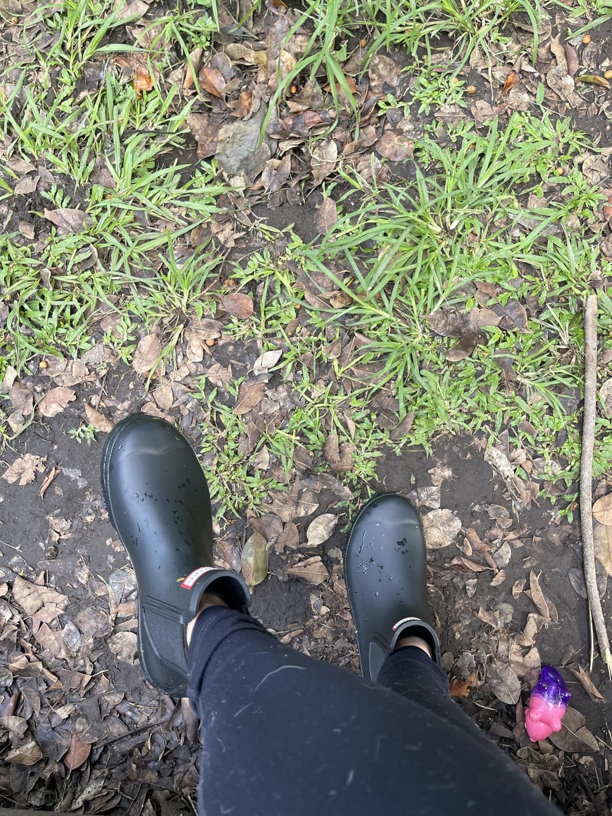 Hunter Women's Original Chelsea Boot customer photo 2