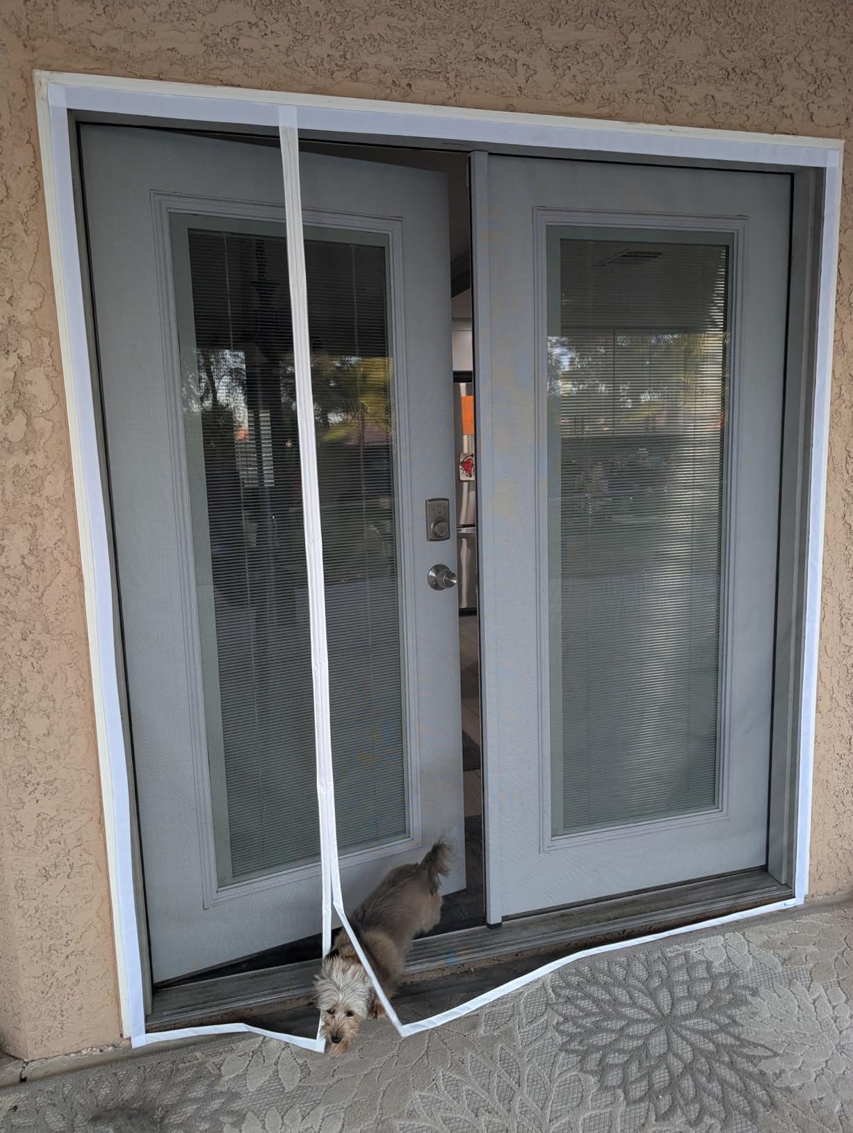Fenestrelle Magnetic Screen Door for French & Sliding Door, 72 x 80 | Black Trim, Hands Free, Heavy Duty Fiberglass Mesh, Self Closing Magnetic Seal, Pet & Kid Friendly, Fits Door Size 70 x 79 customer photo 1