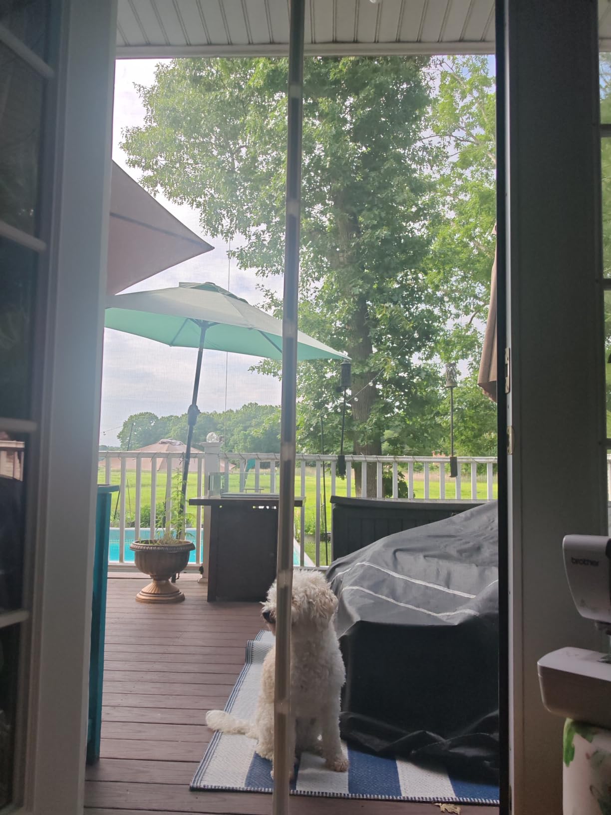 Fenestrelle Magnetic Screen Door for French & Sliding Door, 72 x 80 | Black Trim, Hands Free, Heavy Duty Fiberglass Mesh, Self Closing Magnetic Seal, Pet & Kid Friendly, Fits Door Size 70 x 79 customer photo 2