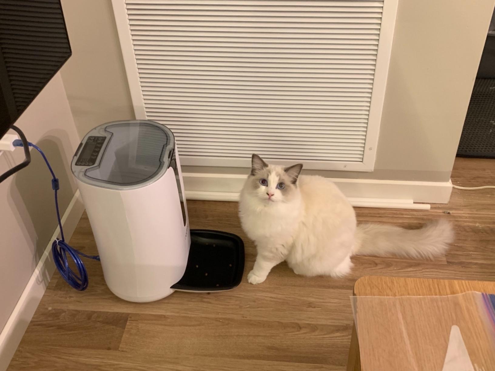 Automatic Cat Feeder, Faroro Dog Food Dispenser for Small Pets with Distribution Alarms, Portion Control, Voice Recorder and Programmable Timer for up to 4 Meals per Day customer photo 1