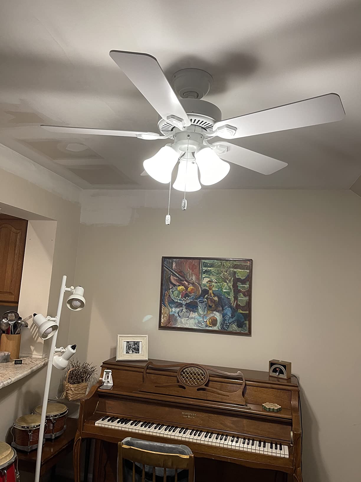 Hunter Swanson, Indoor, Ceiling Fan, with LED Lights, 52 inch, Fresh White | Standard Mount, Pull Chain, 5 Blades, For Bedroom, Living Room, Kitchen, 50895 customer photo 2