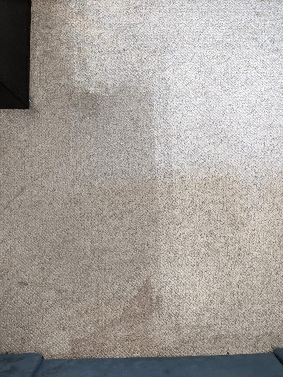Hoover SmartWash Pet Automatic Carpet Cleaner Machine with Spot Chaser Wand | Deep Cleaning Carpet Shampooer Machine customer photo 2