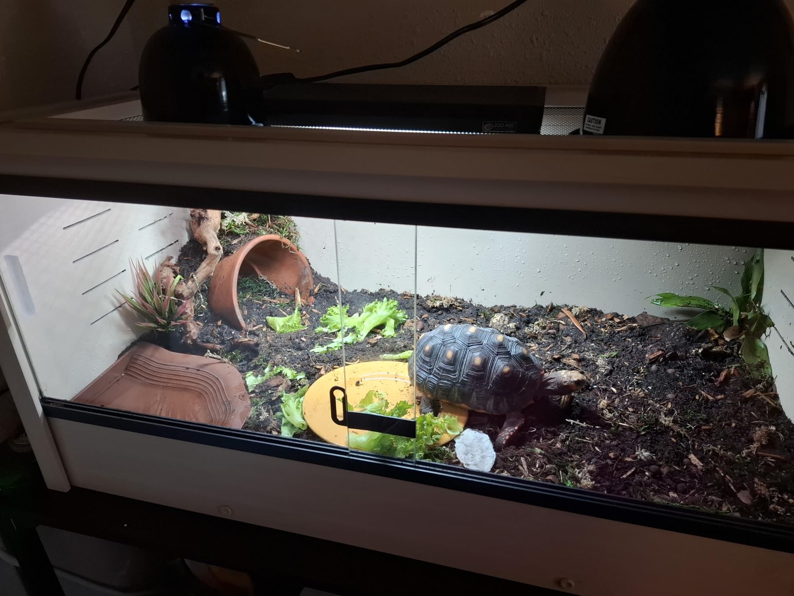 New Age Pet ECOFLEX 36