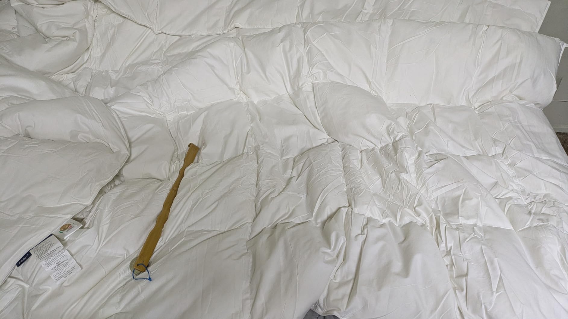 Globon Goose Down Comforter King Size, 800 Fill Power, All Season, White | Luxury Goose Down Duvet Insert, Medium Weight, Ultra Soft 420 Thread Count Noiseless Shell, 8 Corner Tabs, 106x90 inches customer photo 2