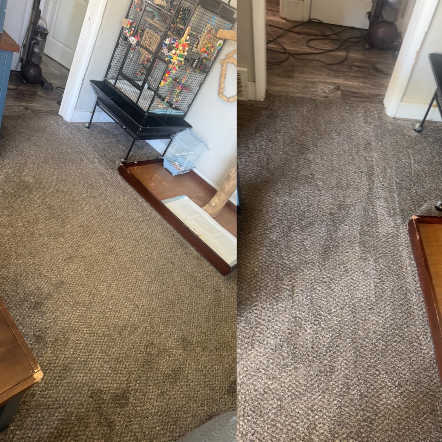 Rug Doctor Mighty Pro X3 Commercial Carpet Cleaner with Oxy Cleaner Pack customer photo 2
