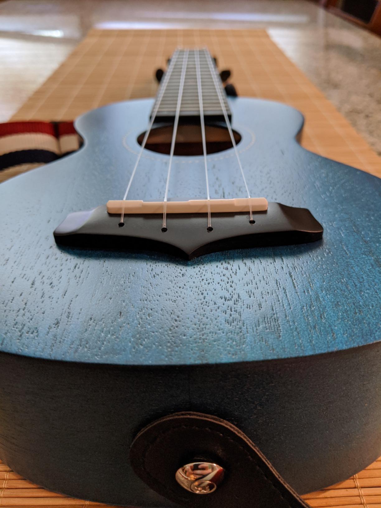Enya EUS-25D 21 Inch Soprano Ukulele, Solid Mahogany Top, Blue | Beginner Ukulele Kit with Gig Bag, Capo, Tuner, Strap and Picks, for Adults, Students, Lessons, Practice and Travel customer photo 1