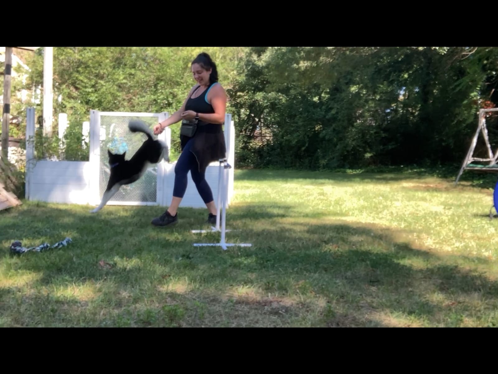 Better Sporting Dogs Agility Course Backyard Set - 7pc | Indoor and Outdoor, 3 Jumps, 2 Tunnels with Sandbags, Weave Poles, Dog Agility Training Equipment customer photo 1