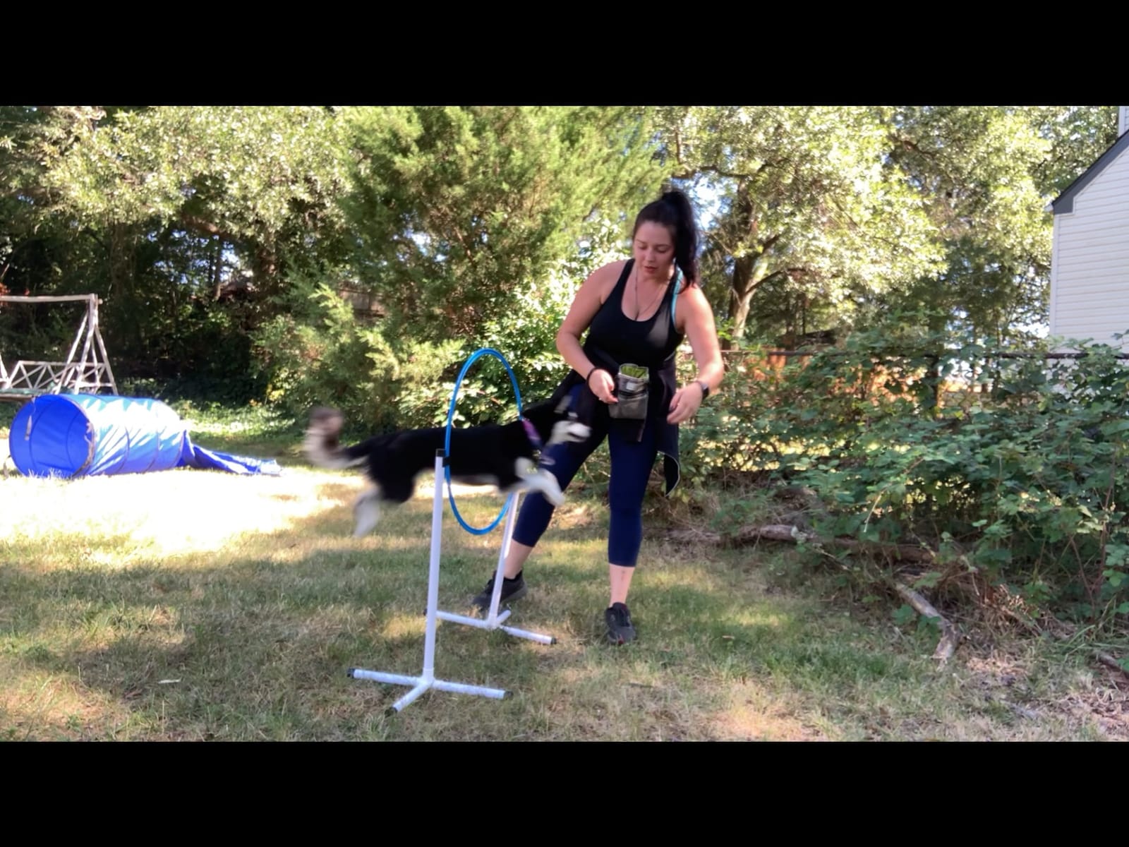 Better Sporting Dogs Agility Course Backyard Set - 7pc | Indoor and Outdoor, 3 Jumps, 2 Tunnels with Sandbags, Weave Poles, Dog Agility Training Equipment customer photo 2