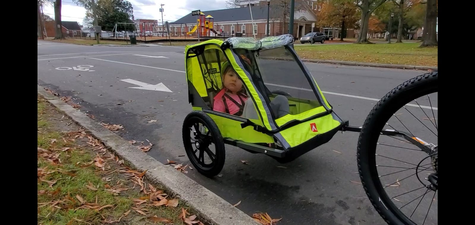 Allen Sports Hi-Viz 2-Child Bicycle Trailer, Model ET2 customer photo 1