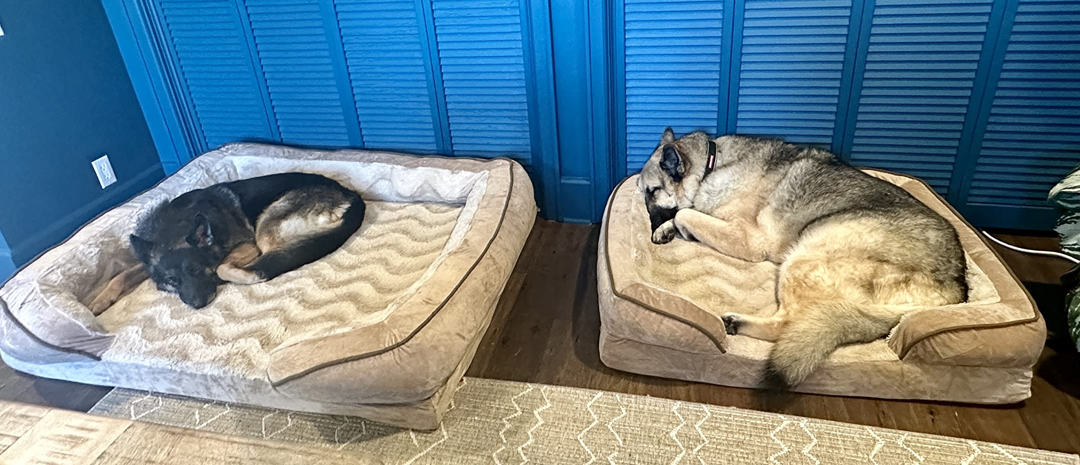 FurHaven Cooling Gel Dog Bed for Large Dogs, Perfect Comfort Sofa Bed with Cool Gel-Top Foam with a Solid Orthopedic Foam Base for Joint Support, Washable Cover, Jumbo XL, Plush & Velvet, Granite Gray customer photo 2