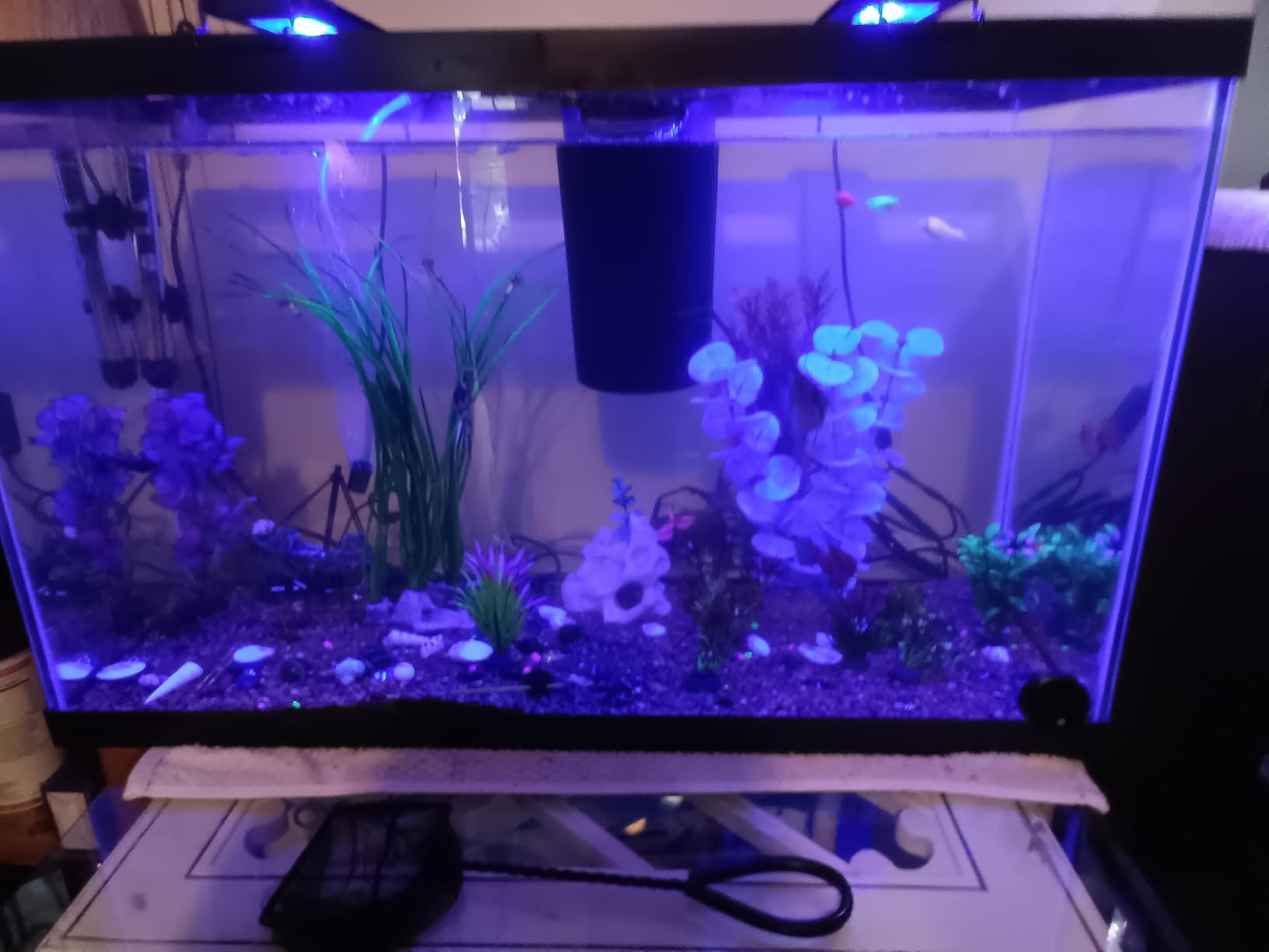 Tetra 29 Gallon Glass Aquarium, Rectangular Fish Tank customer photo 1