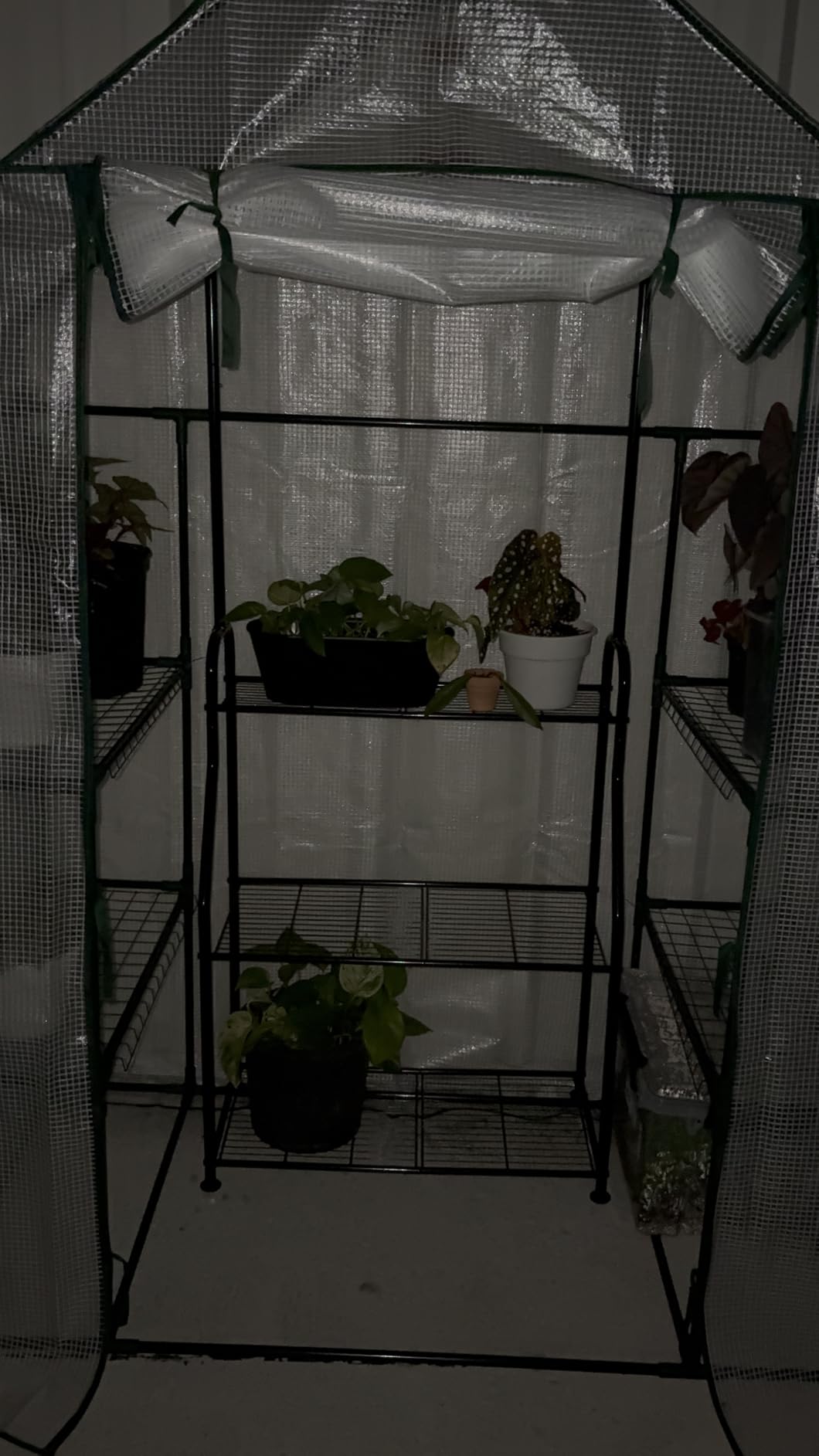 56x30x76 Portable Walk-in Greenhouse for Outdoors, Plant House with Shelves | Green PE Cover, Three Shelf Levels on Each Side, Roll-Up Zipper Door, Steel Frame, Anchors and Ropes for Seedlings and Herbs customer photo 2