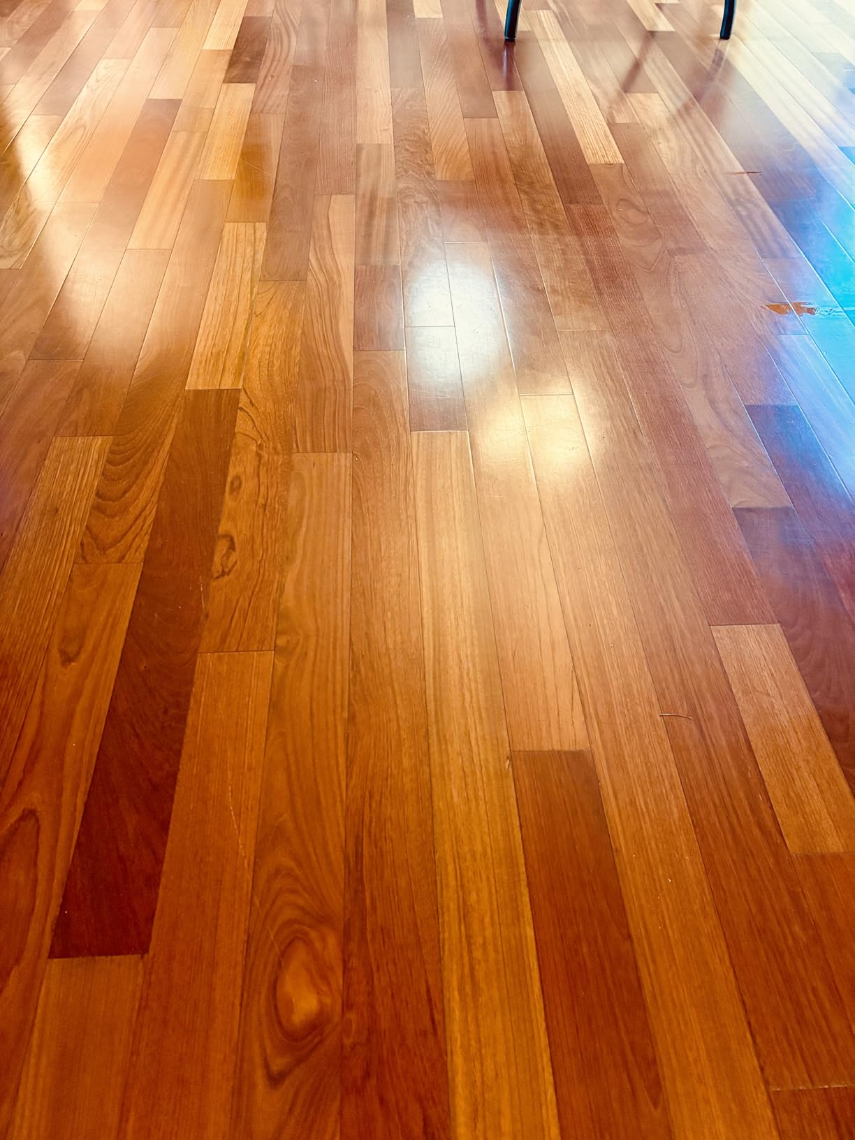 BISSELL SpinWave Hard Floor Expert Corded Spin Mop Cleaner, 20393 | Powerful electric spin mop; washable reusable pads; corded for consistent power on hard floors customer photo 1