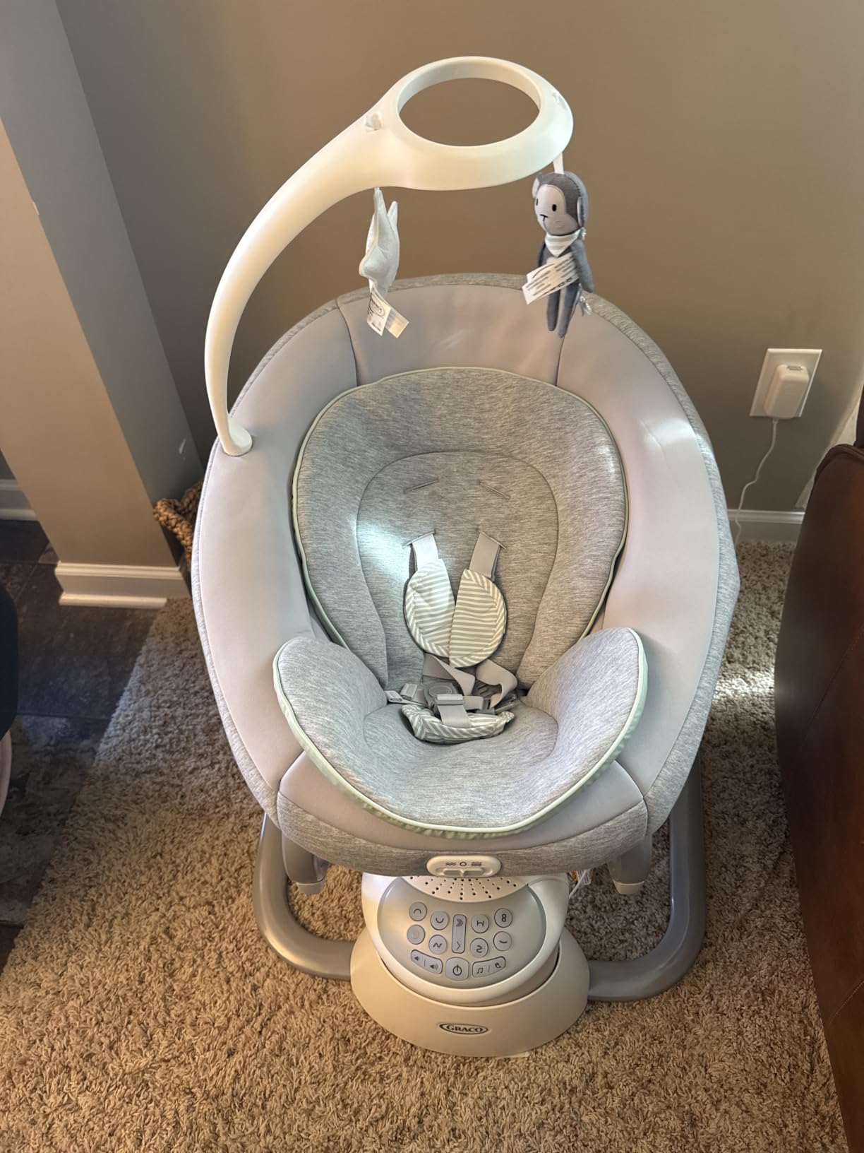 Graco Soothe My Way with Removable Rocker, Madden - Versatile Baby Swing & Portable Rocker customer photo 1
