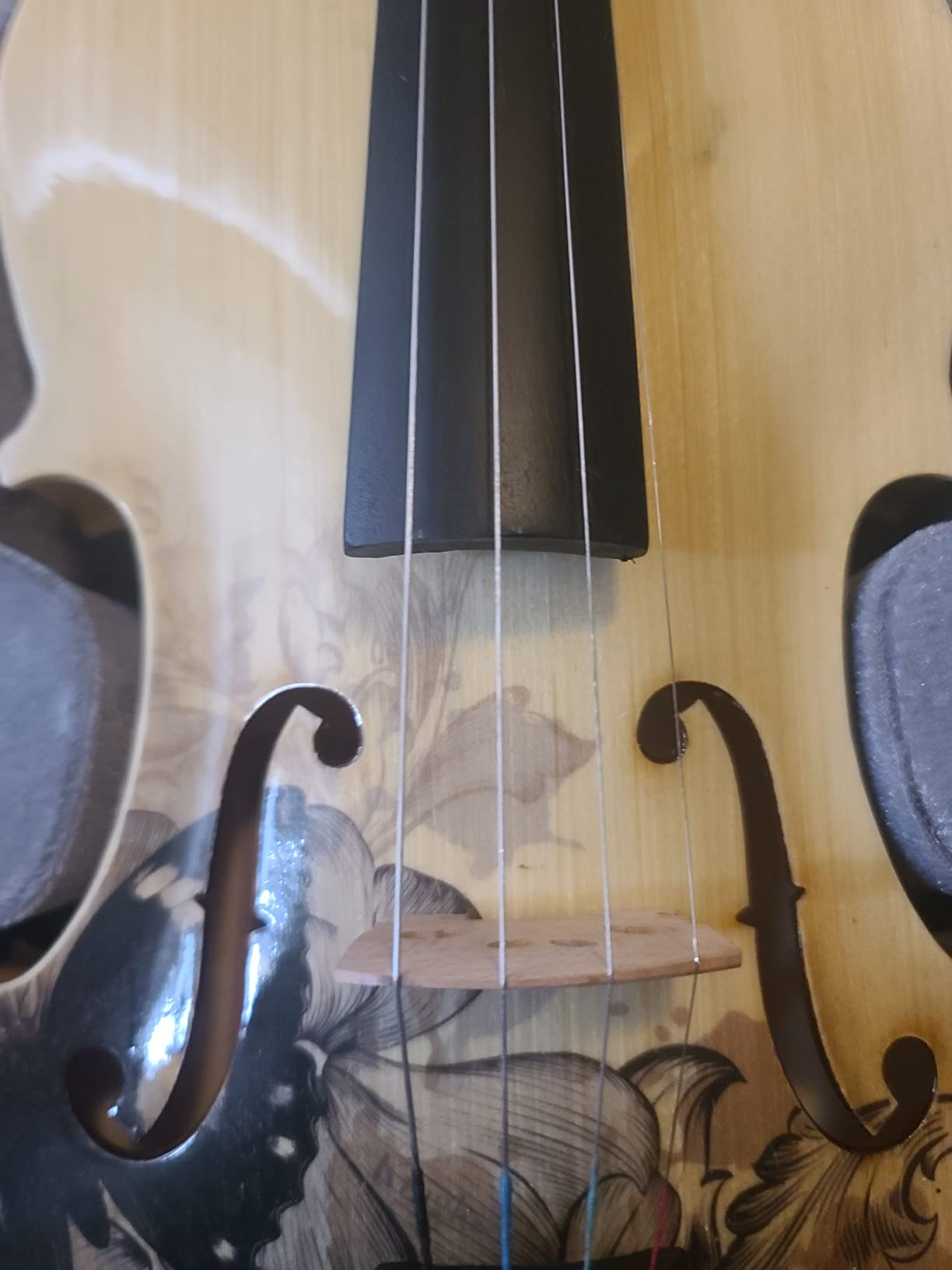 Aliyes Distinctive Artistic Violin Set Designed for Beginners/Students/adults with Hard Case,Bow,Extra Strings (4/4/Full-size) customer photo 2