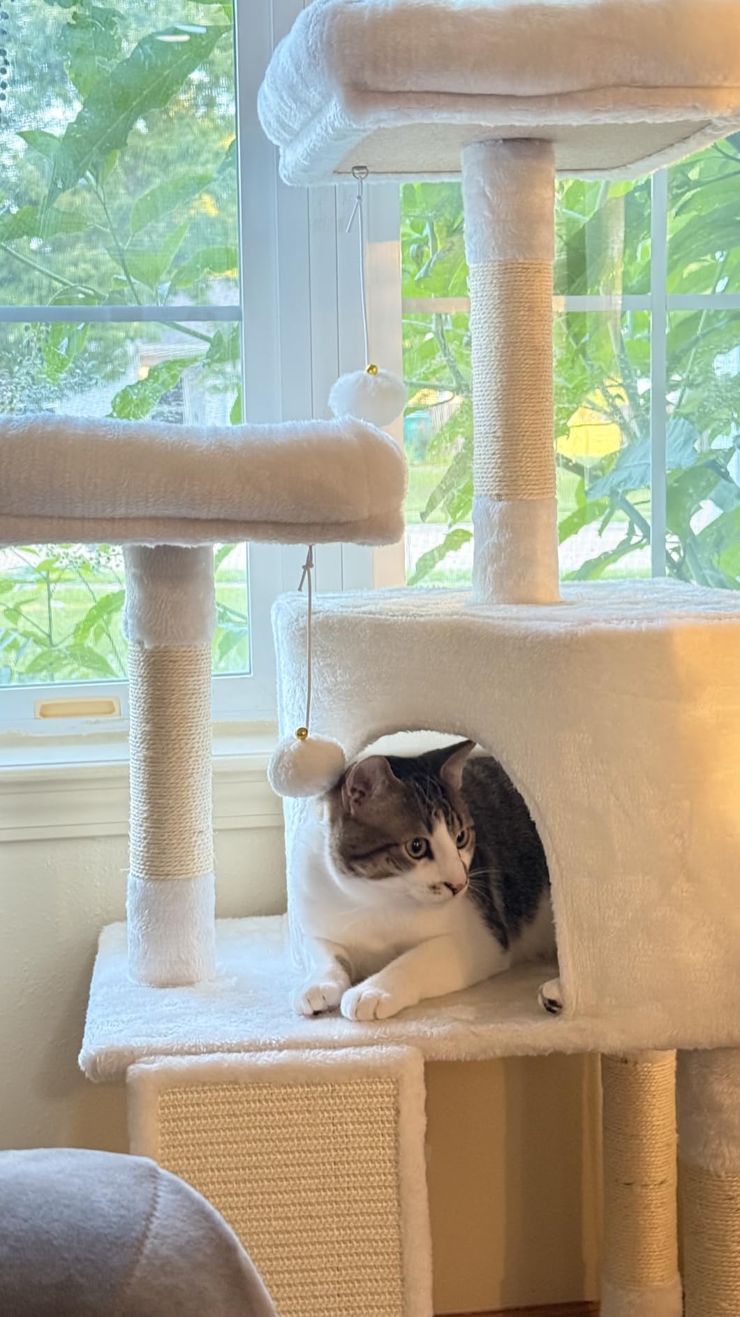 Feandrea Cat Tree, 45.3-Inch Cute Cat Tower, Climbing Condo, Light Gray | with 4 Sisal Scratching Posts, 2 Perches, Spacious Cave, Scratching Ladder, Plush Toy Balls for Indoor Cats, Easy to Assemble customer photo 1