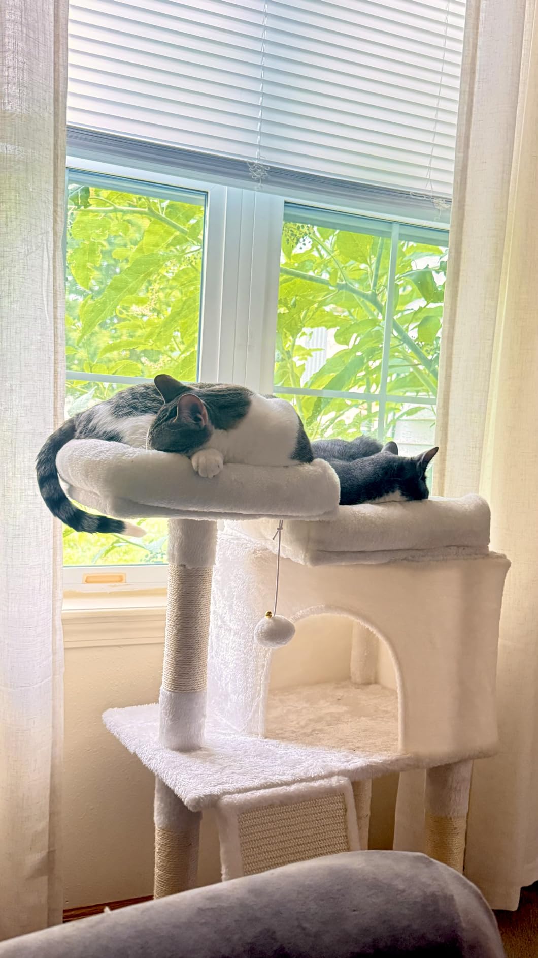 Feandrea Cat Tree, 45.3-Inch Cute Cat Tower, Climbing Condo, Light Gray | with 4 Sisal Scratching Posts, 2 Perches, Spacious Cave, Scratching Ladder, Plush Toy Balls for Indoor Cats, Easy to Assemble customer photo 2