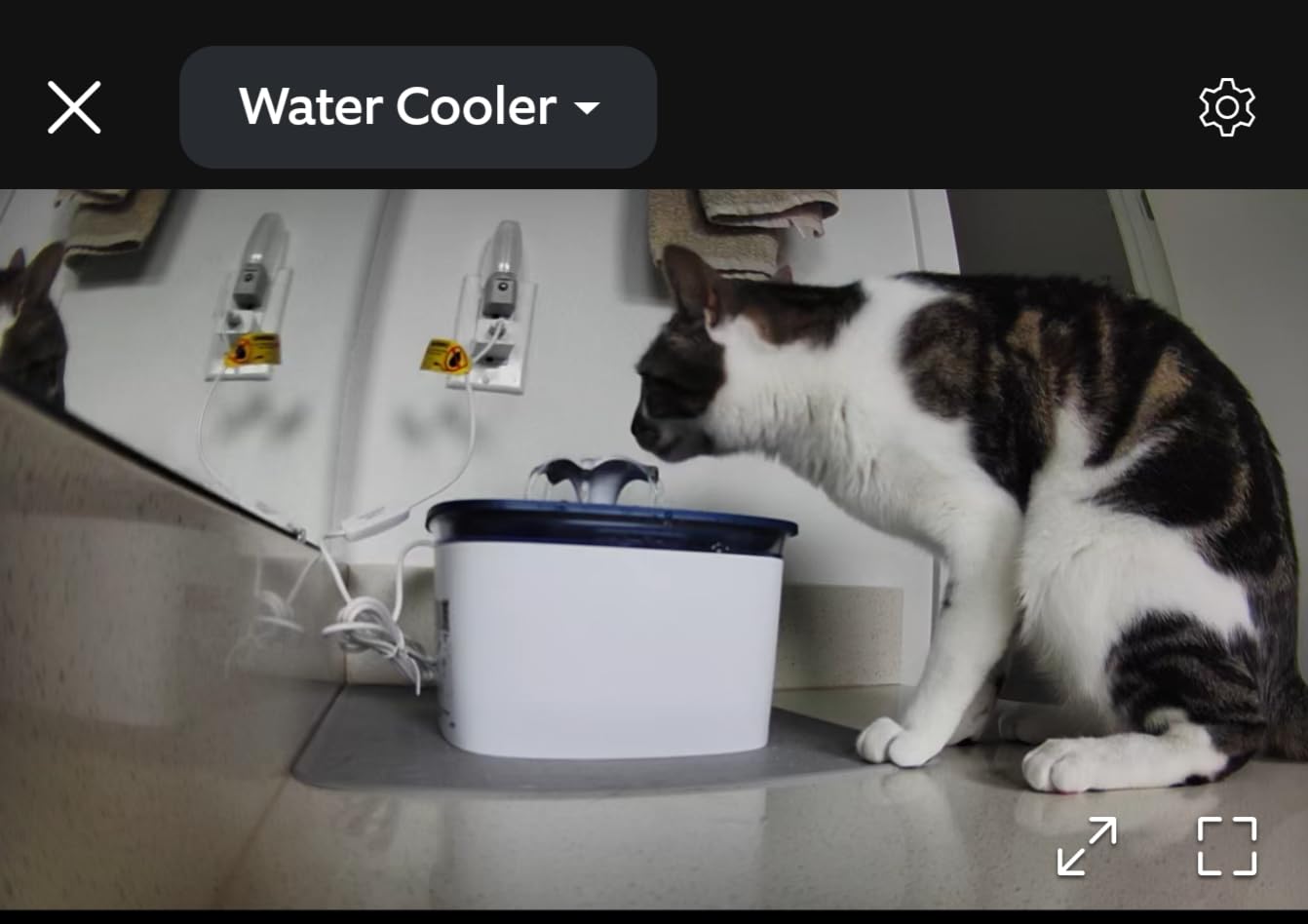 Veken Innovation Award Winner 95oz/2.8L Cat Water Fountain | Automatic Pet Fountain Dog Water Dispenser with Replacement Filters & Silicone Mat for Cats, Dogs (Blue, Plastic) customer photo 1