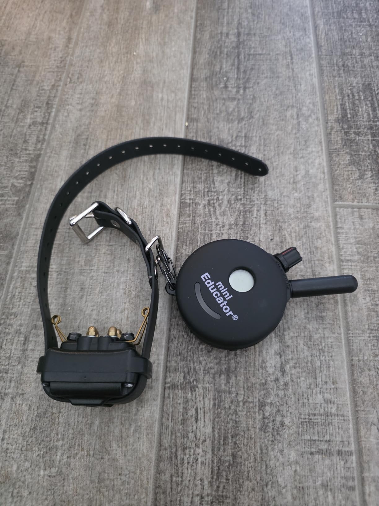 Educator ET-300 Black Mini E Collar for Dog Training with Remote - 1/2 Mile Range, Waterproof, 100 Blunt Stimulation Levels, Tone or Vibration Mode, Night Light Tracking for Small, Medium & Large Dogs customer photo 1