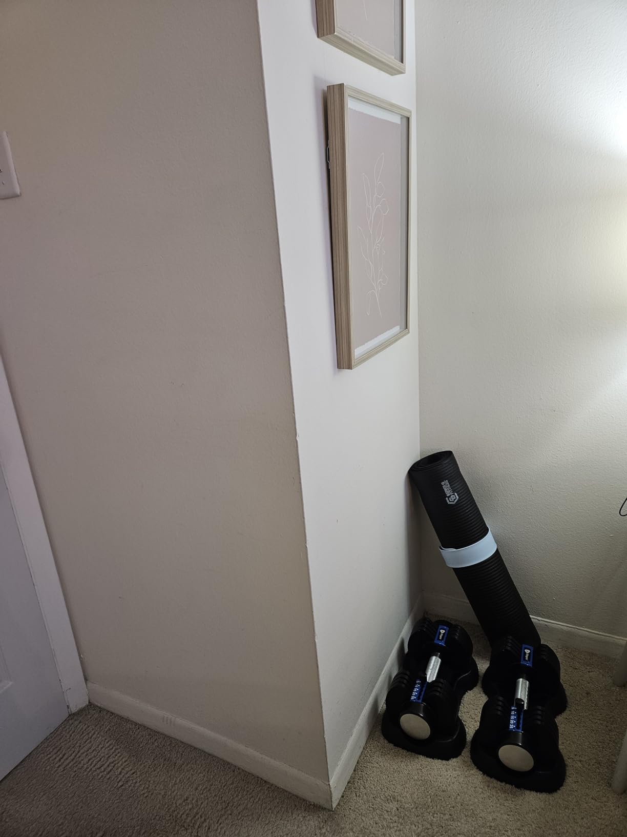 Lifepro Adjustable Dumbbells & Weights for Home Gym, Quick-Adjust | Choose from 2-55 lb adjustable weights in single, pair, or 3-in-1 options for customizable home strength training. customer photo 2