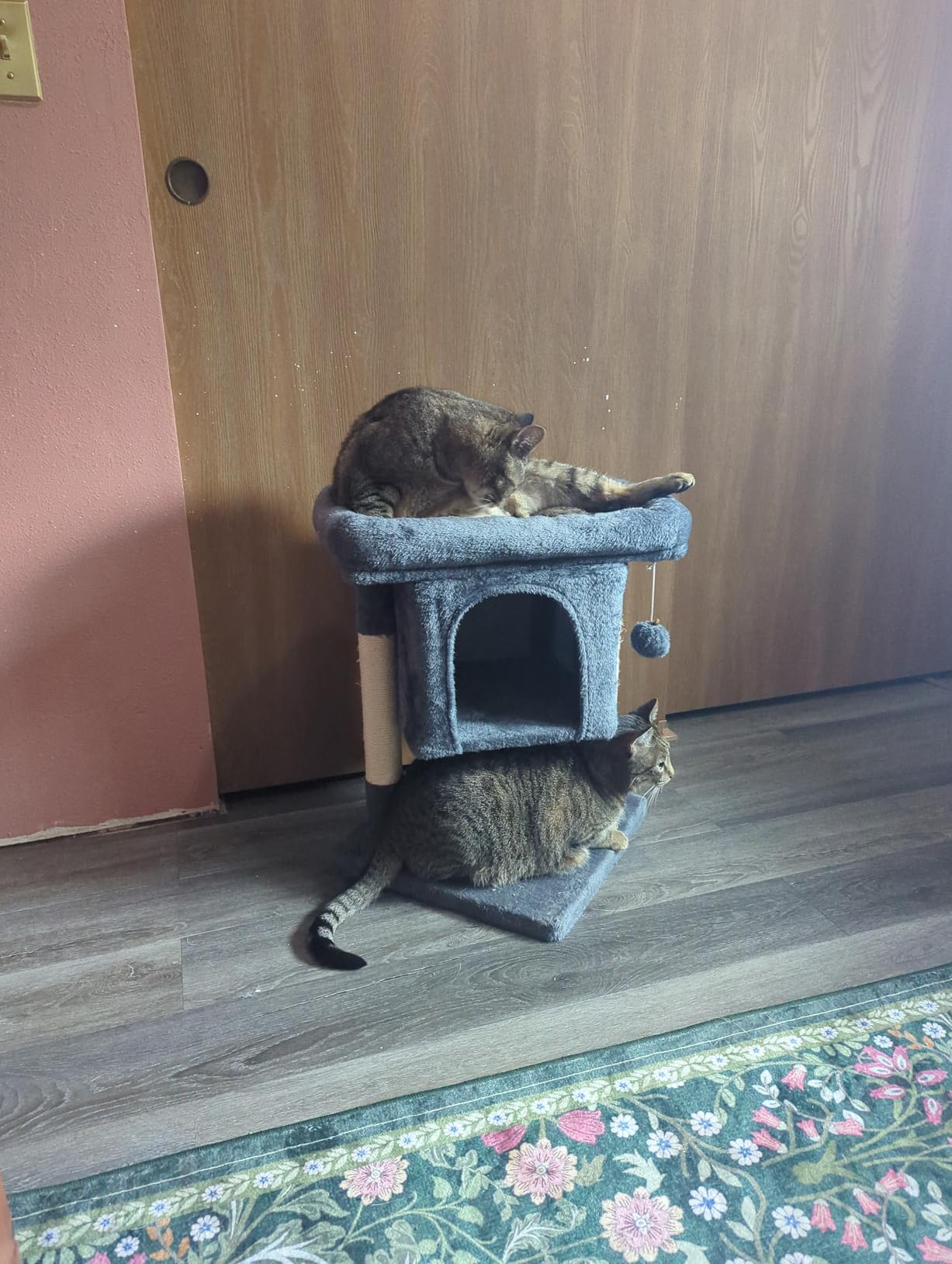 Yaheetech 23.5in Small Low-Profile Cat Tower with Scratching Posts | Space-saving 16x16in base, soft plush cover, solid particleboard frame, fits tiny apartments, dark gray customer photo 1