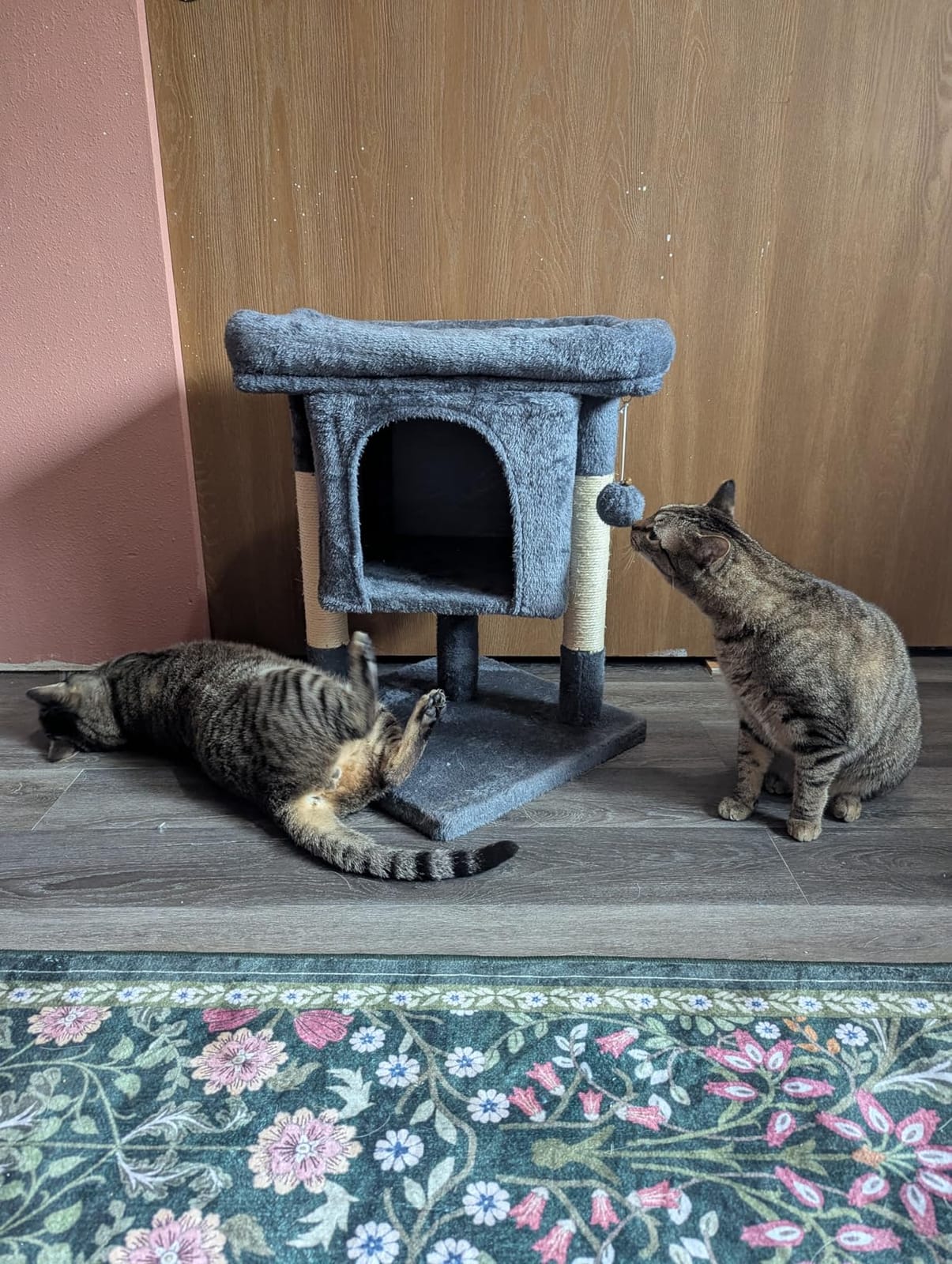 Yaheetech 23.5in Small Low-Profile Cat Tower with Scratching Posts | Space-saving 16x16in base, soft plush cover, solid particleboard frame, fits tiny apartments, dark gray customer photo 2