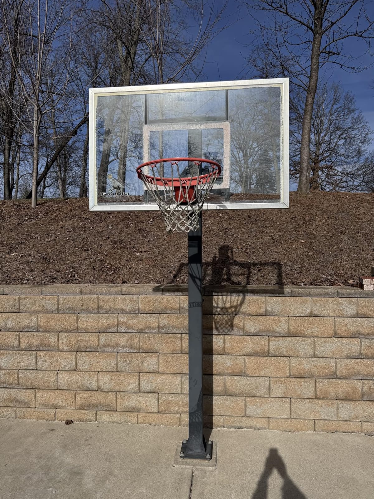 NEIJIANG Basketball Net Replacement, 2025 Upgrade Thick Professional Basketball Nets Heavy Duty Outdoor, All Weather Anti Whip Color Never Fade - 12 Loops customer photo 1