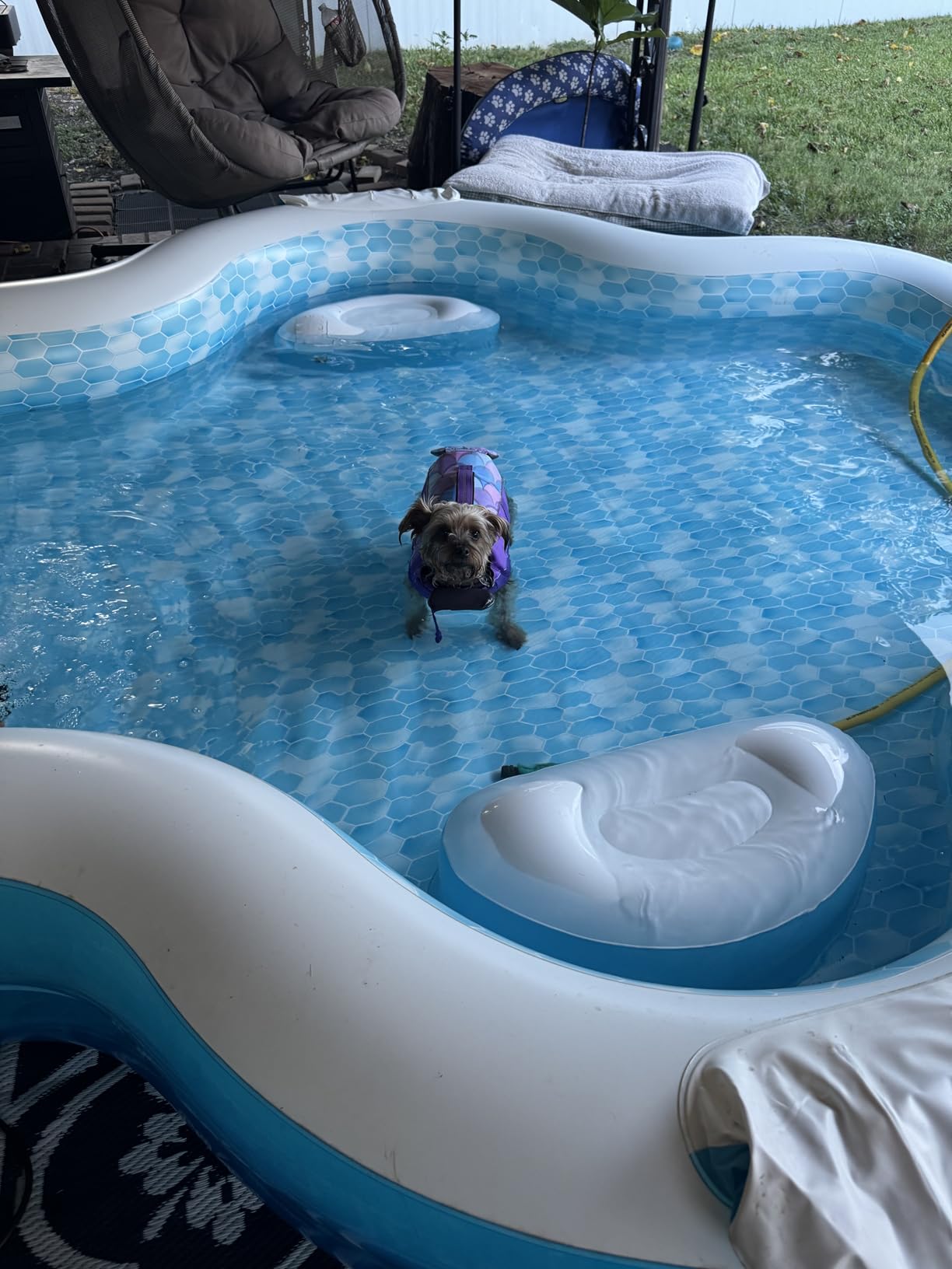 Members Mark Elegant Family Pool 10 Feet Long 2 Inflatable Seats with Backrests. New Version customer photo 2