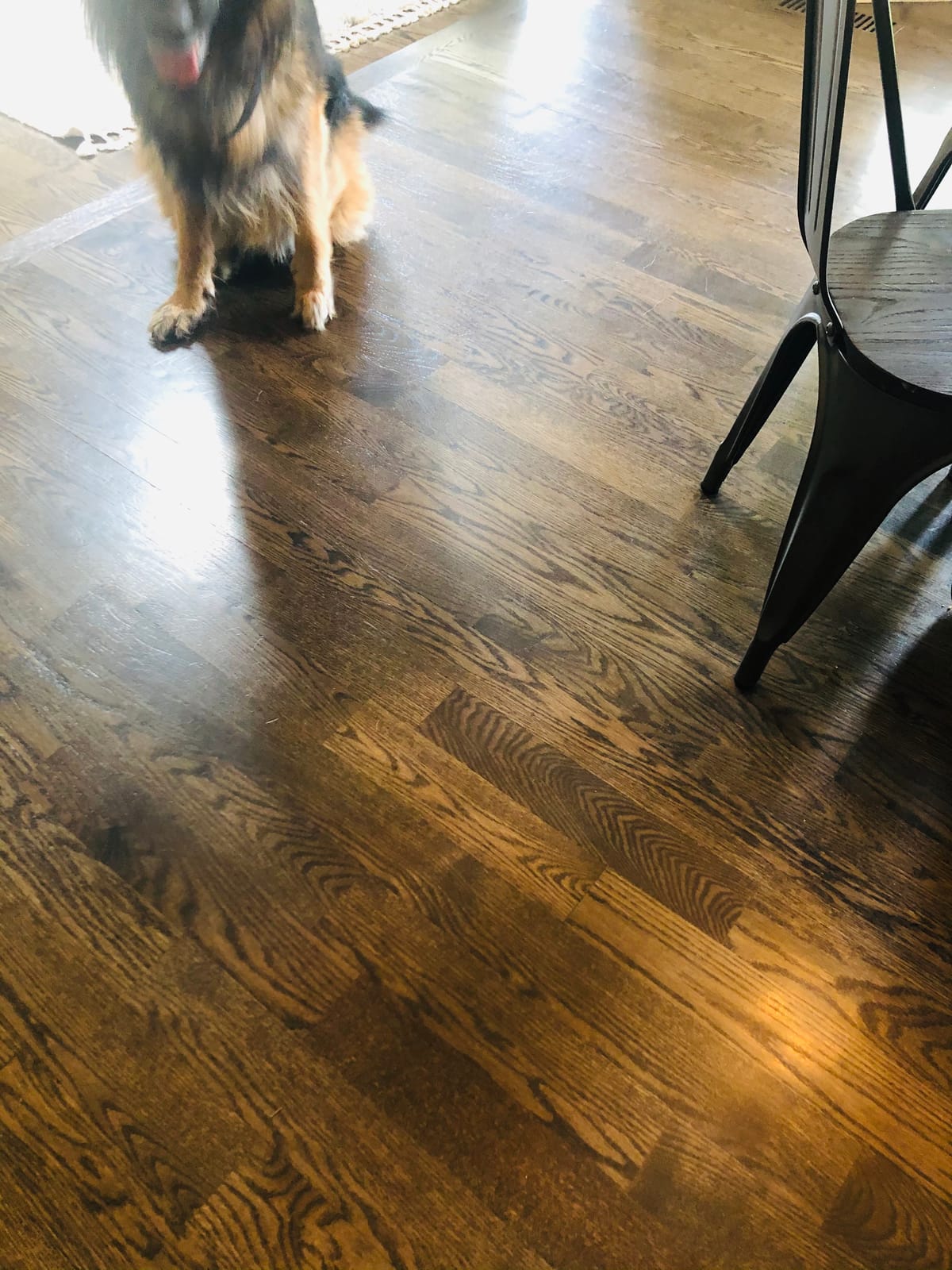 O-Cedar RinseClean Spin Mop & Bucket System | Clean with Clean Water | Removes 99% of Bacteria customer photo 2