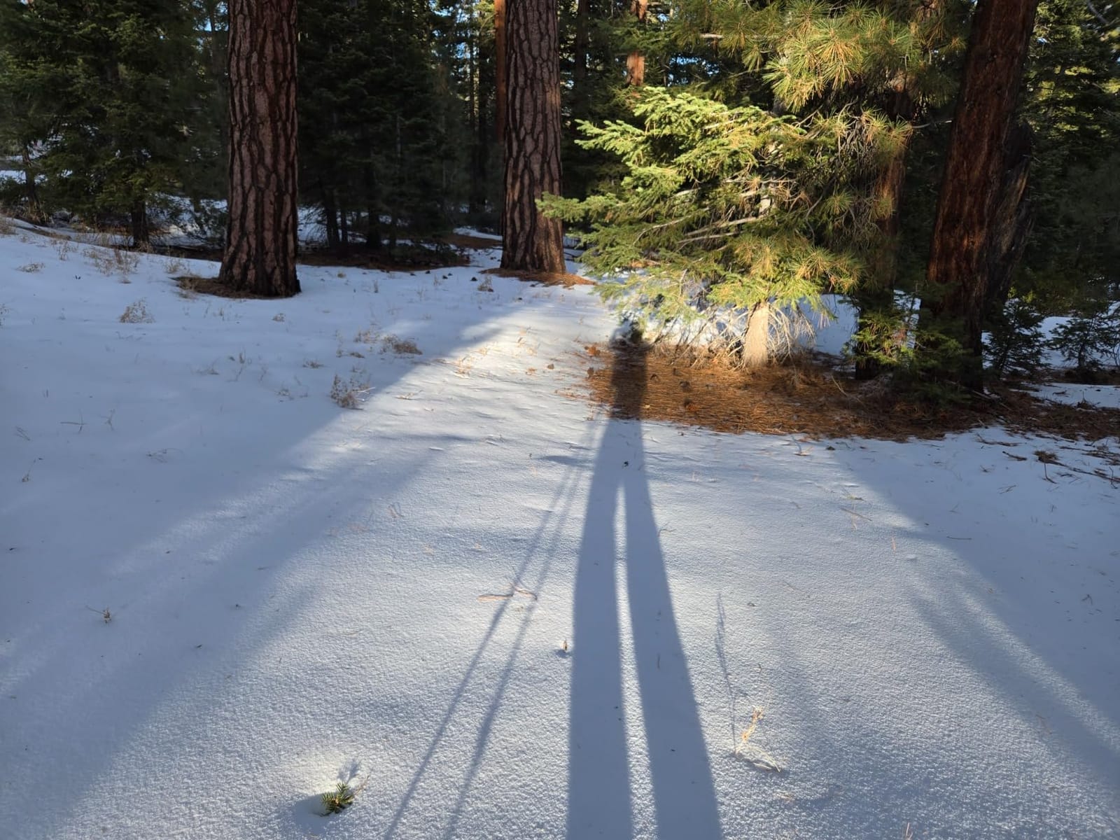 G2 21/25/30/36 Inches Light Weight Snowshoes with Trekking Poles, Tote Bag, Special EVA Padded Ratchet Binding, Heel Lift, Toe Box(6 Colors Available) customer photo 2