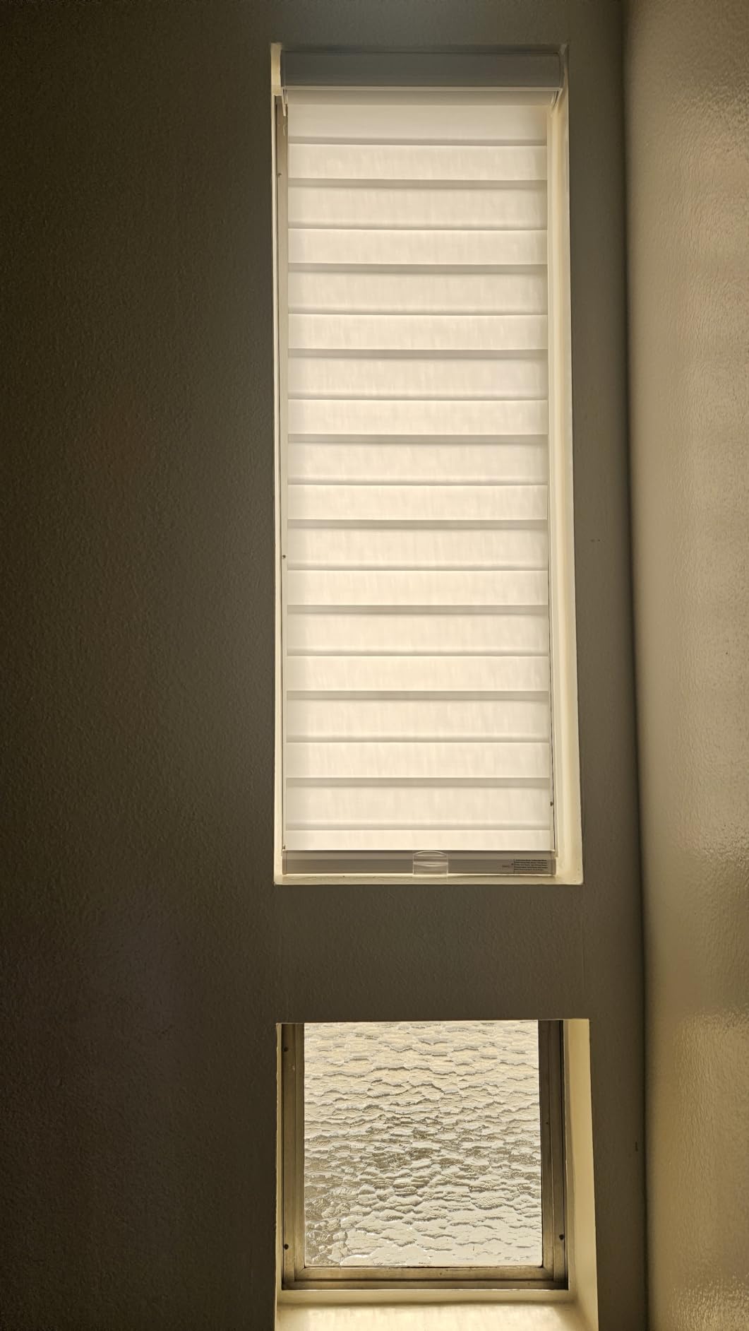 Persilux Cordless Zebra Blinds for Windows Free-Stop Roller Windows Shades (24