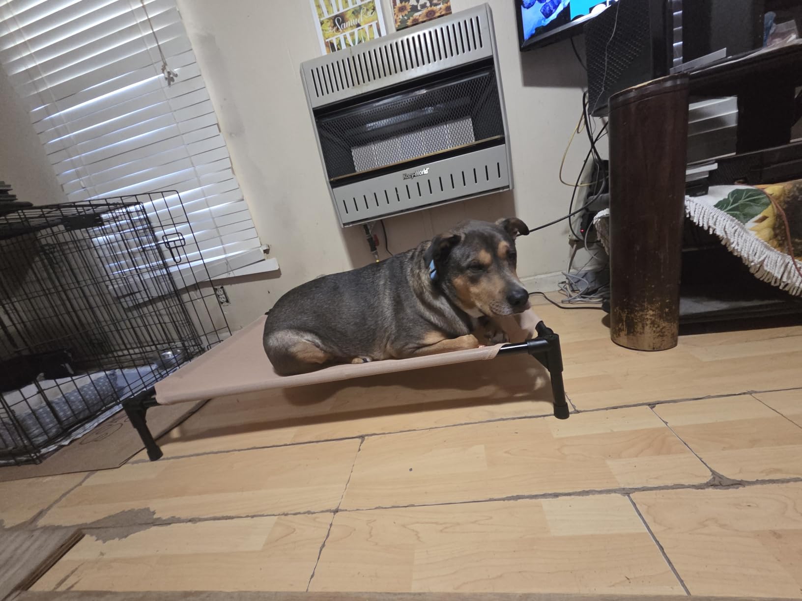 K&H Outdoor Elevated Dog Bed, Cooling Raised Dog Bed, Medium 32x25in, Tan - Pet Cot for Small & Medium Pets, Breathable Mesh 360 Hammock Design, Indoor/Outdoor Washable Cover, Portable Metal Frame customer photo 2