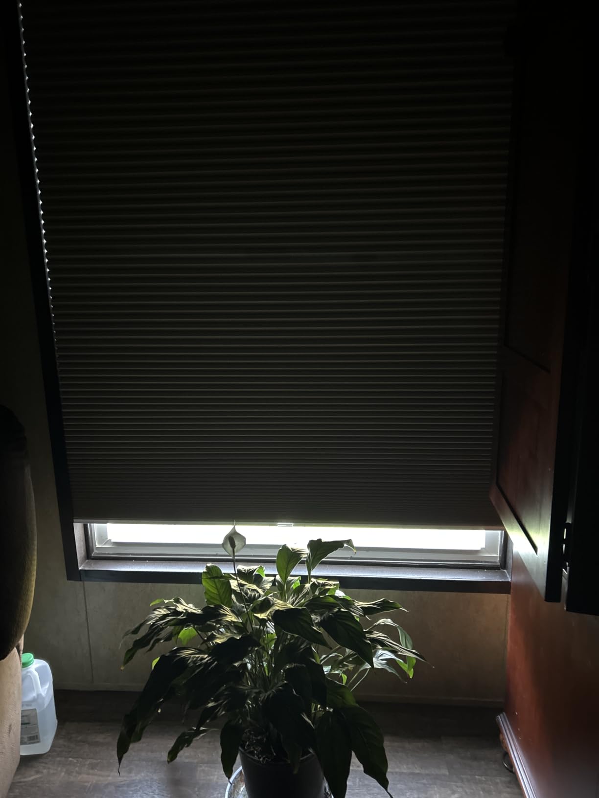 Changshade Cordless Cellular Shades, Blackout Honeycomb Shades for Windows, Pull Down Pleated Blinds, Easy to Install for Indoor Windows and French Doors, White (Blackout), 35