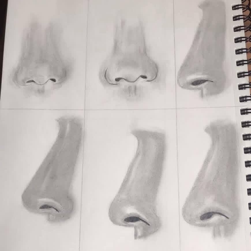 Prina 50 Pack Drawing Set Sketch Kit, Sketching Supplies with 3-Color Sketchbook, Graphite, and Charcoal Pencils, Pro Art Drawing Kit for Artists Adults Teens Beginner Kid, Ideal for Shading, Blending customer photo 2
