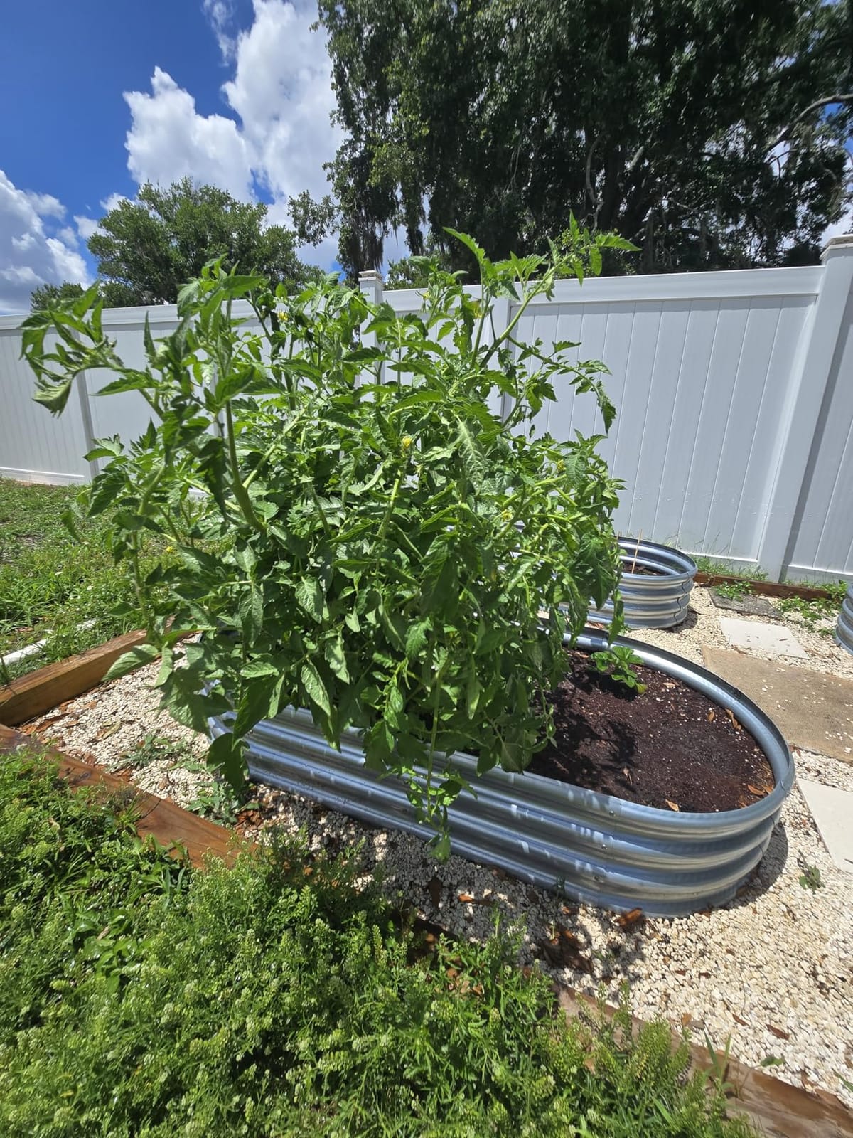 Rakukiri Raised Garden Bed GRS Certified Galvanized Planter Box Outdoor, 5ft Oval Rot-Resistant Metal Garden Bed Planter, Recycled Material Planter for Vegetables Flowers Herbs customer photo 1