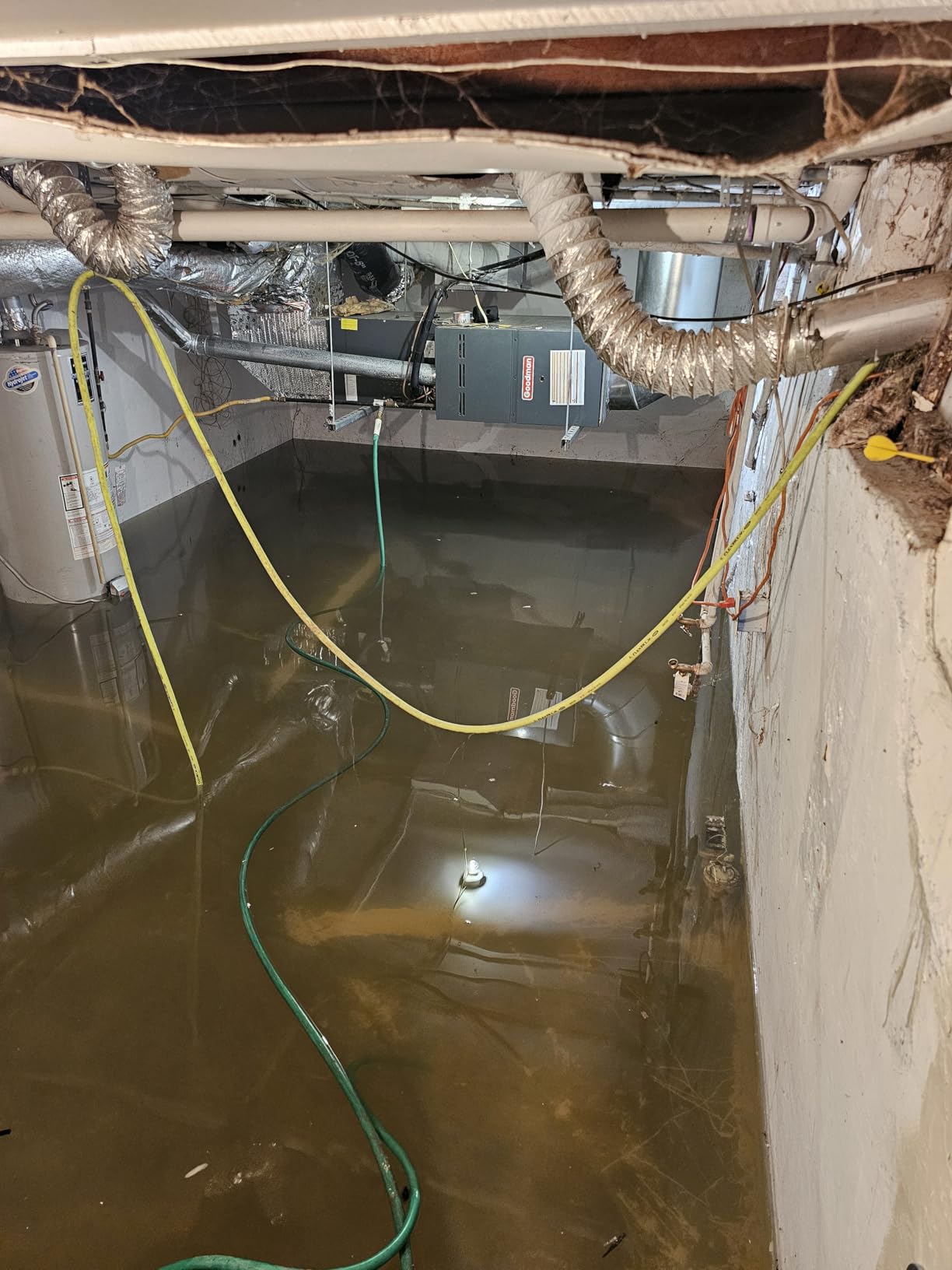 The Basement Watchdog Combo Preassembled Primary & Battery Backup Sump Pump System w/Monitoring Controller (CITE-33); Copper-Wound PSC Motor customer photo 1