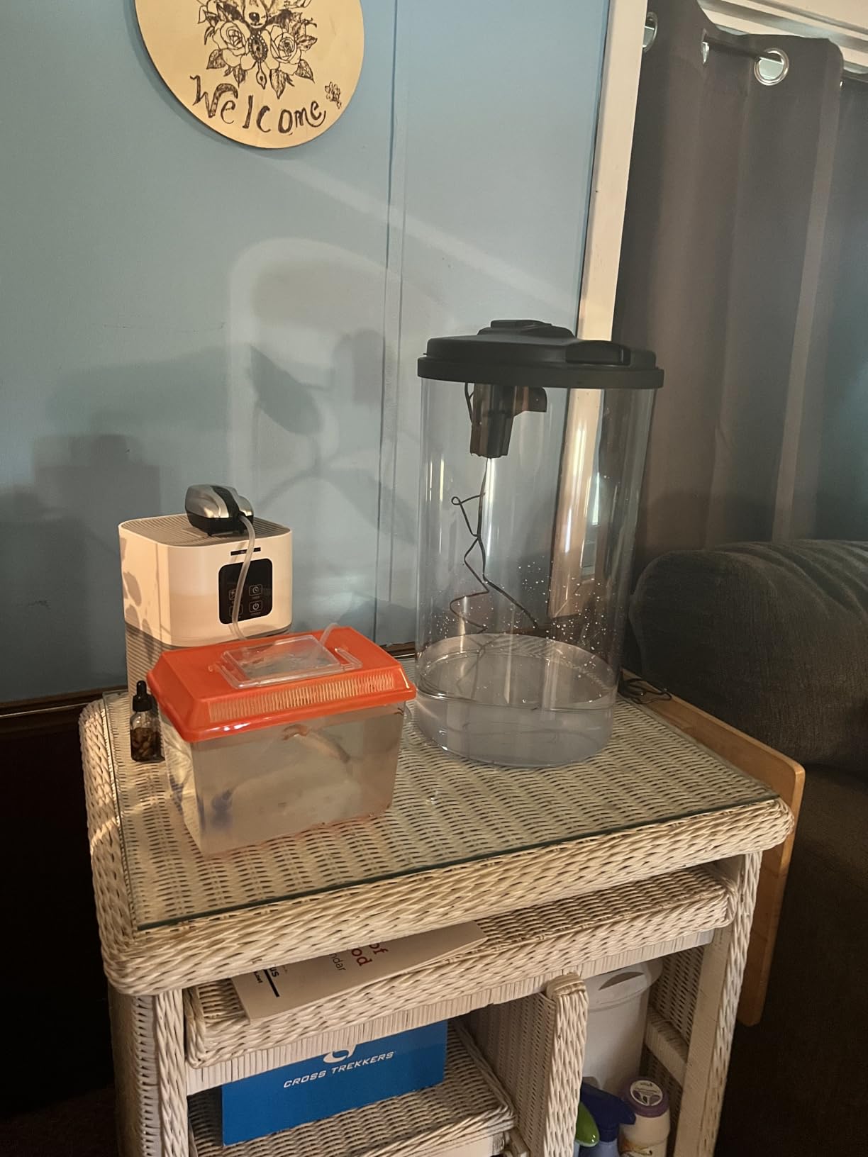 Koller Products Plastic 6-Gallon AquaView 360 Aquarium Kit with LED Lighting and Power Filter customer photo 2