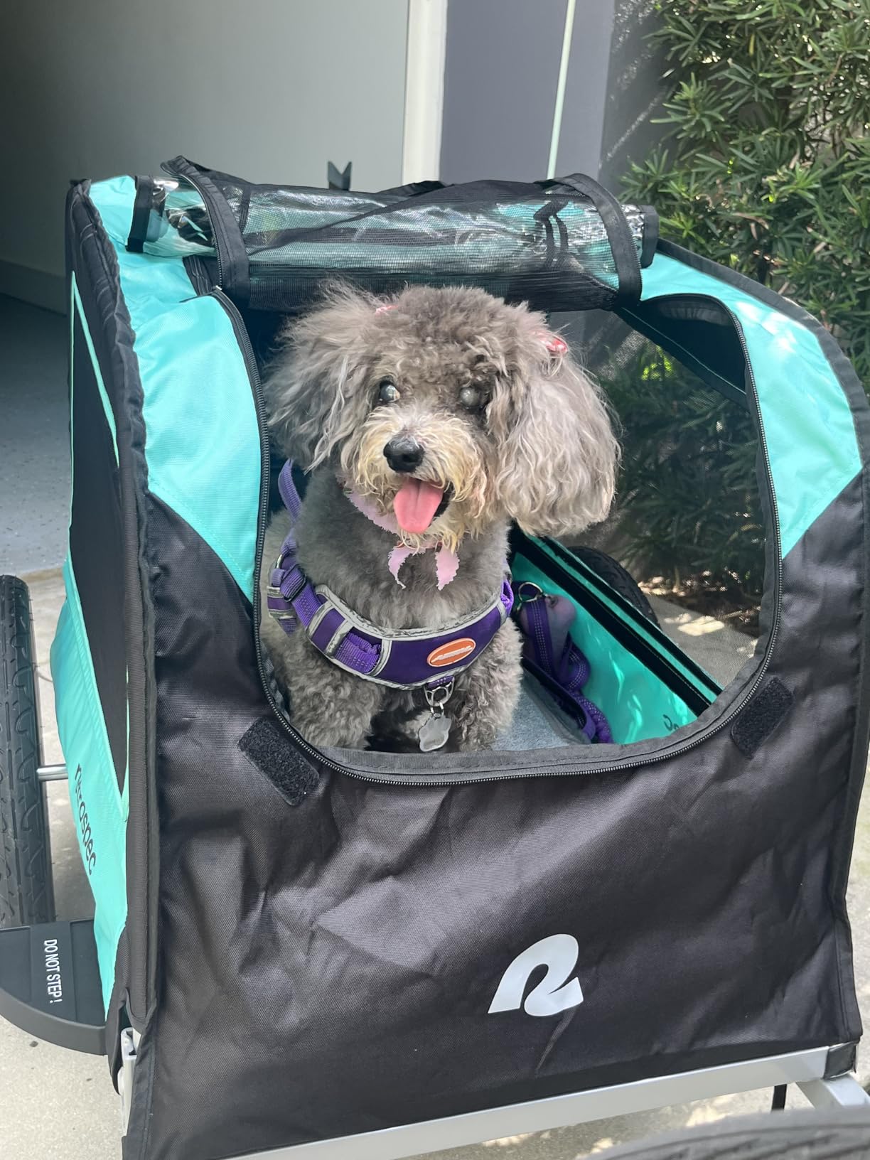 Retrospec Rover Waggin' Pet and Dog Bike Trailer with Weather-Resistant Canopy & Mesh Shield - Foldable Frame, 16in Wheels with Storage Pouch & Internal Safety Leash Supports up to 50 lbs customer photo 1