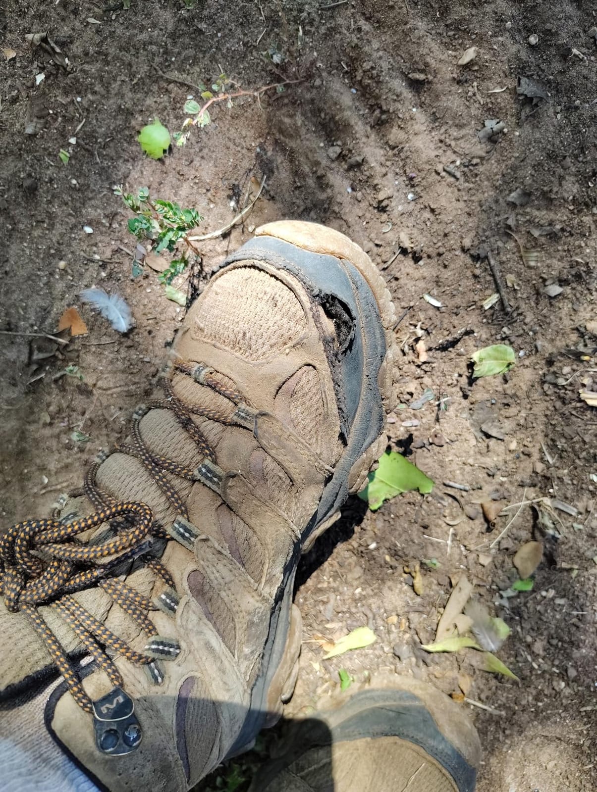 Merrell Men's Moab 3 Mid Waterproof Hiking Boots customer photo 2