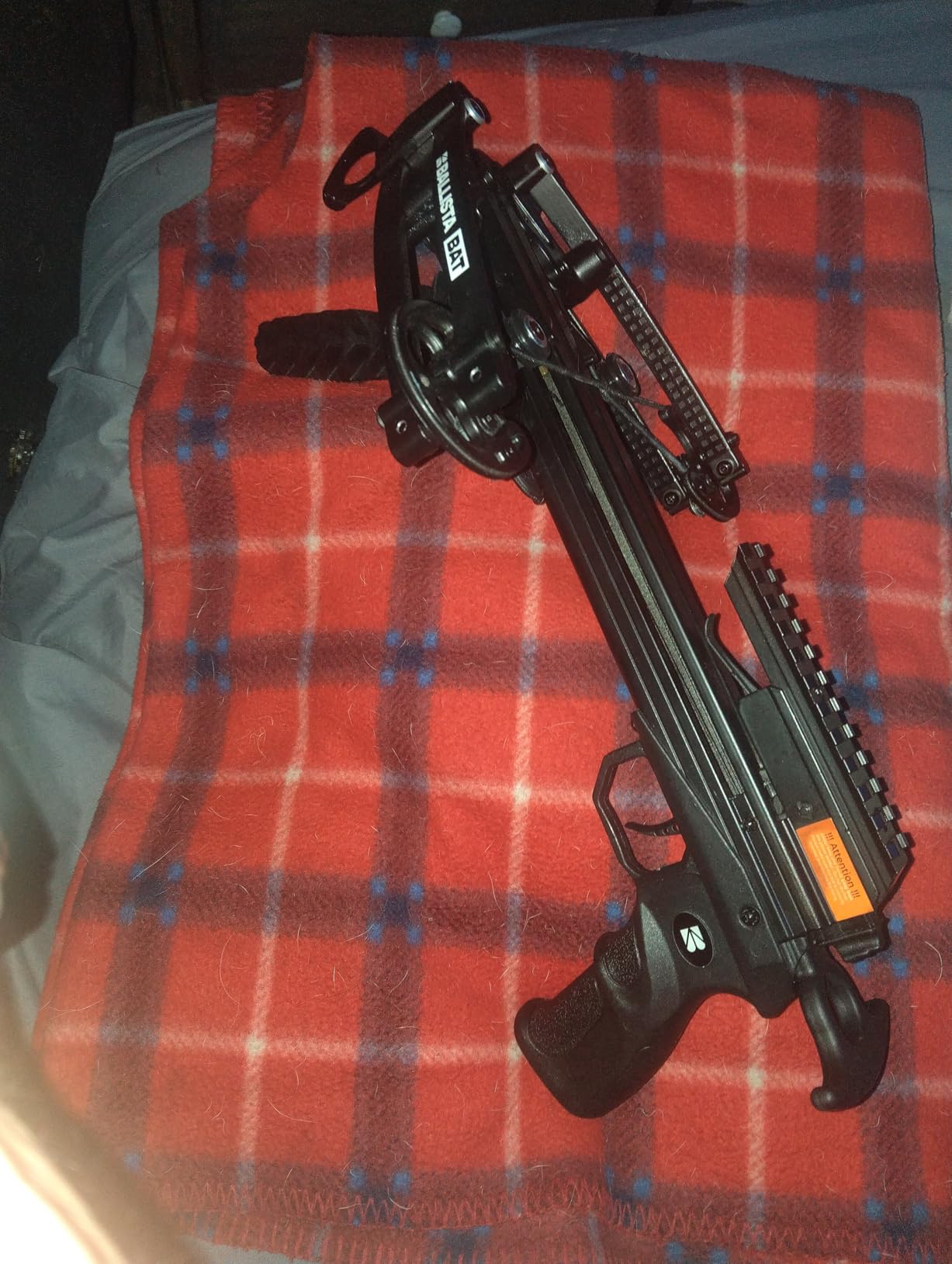BALLISTA BAT Compound Crossbow for Hunting, Bowfishing and Target, 300 FPS, 2.46 lb Frame with Built-In Cocking Assist customer photo 1