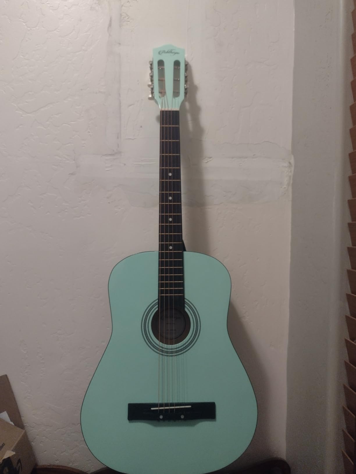 Ashthorpe 30-inch Kids Acoustic Guitar (Blue), Beginner Starter Kit with Gig Bag, Extra Strings, Strap, Picks, and Lessons customer photo 1