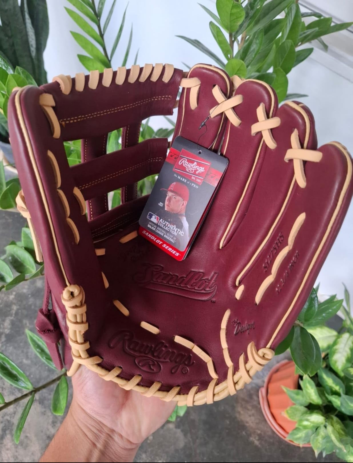 Rawlings | Sandlot Baseball Glove | Sizes 11.5