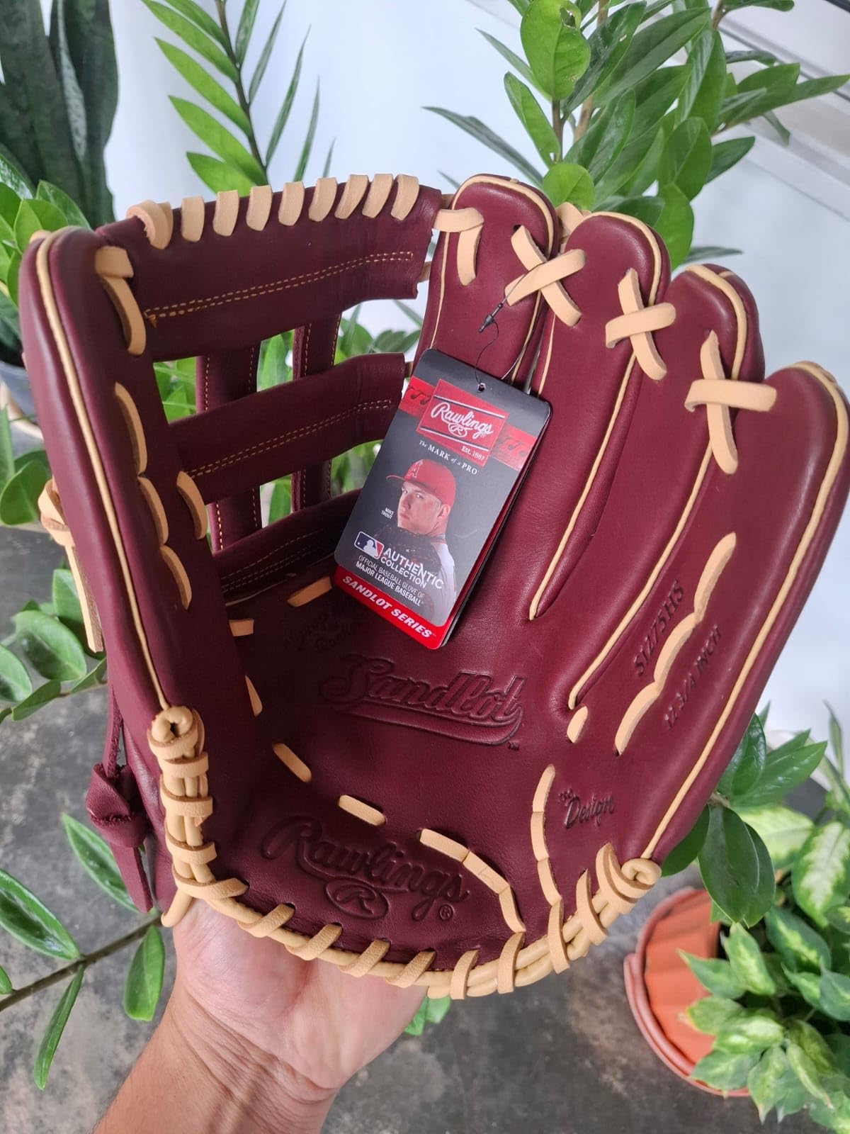 Rawlings Sandlot Baseball Glove | Sizes 11.5