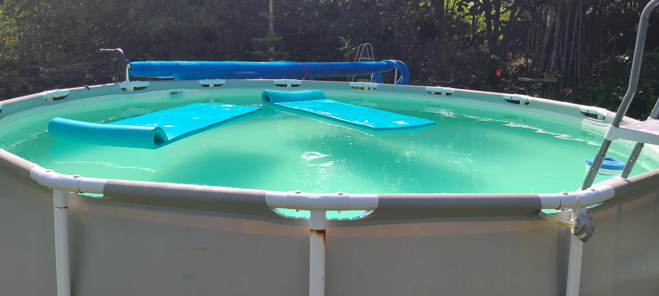 Swimline HYDROTOOLS Sure-Flo Cartridge Pool Filter Tank & Element ONLY for Above Ground Pools | 50 SQ FT | for Pools Up to 15600 Gallons | Energy Efficient | Non-Corrosive Materials customer photo 1