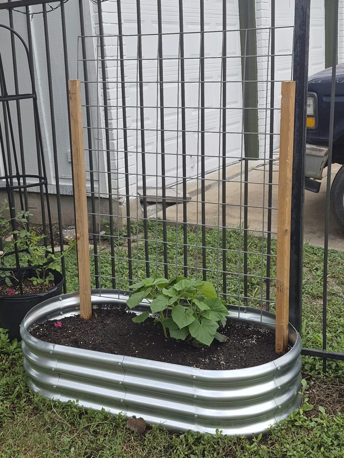 Land Guard Galvanized Raised Garden Bed Kit, Galvanized Planter Garden Boxes Outdoor, Oval Large Metal Raised Garden Beds for Vegetables customer photo 1