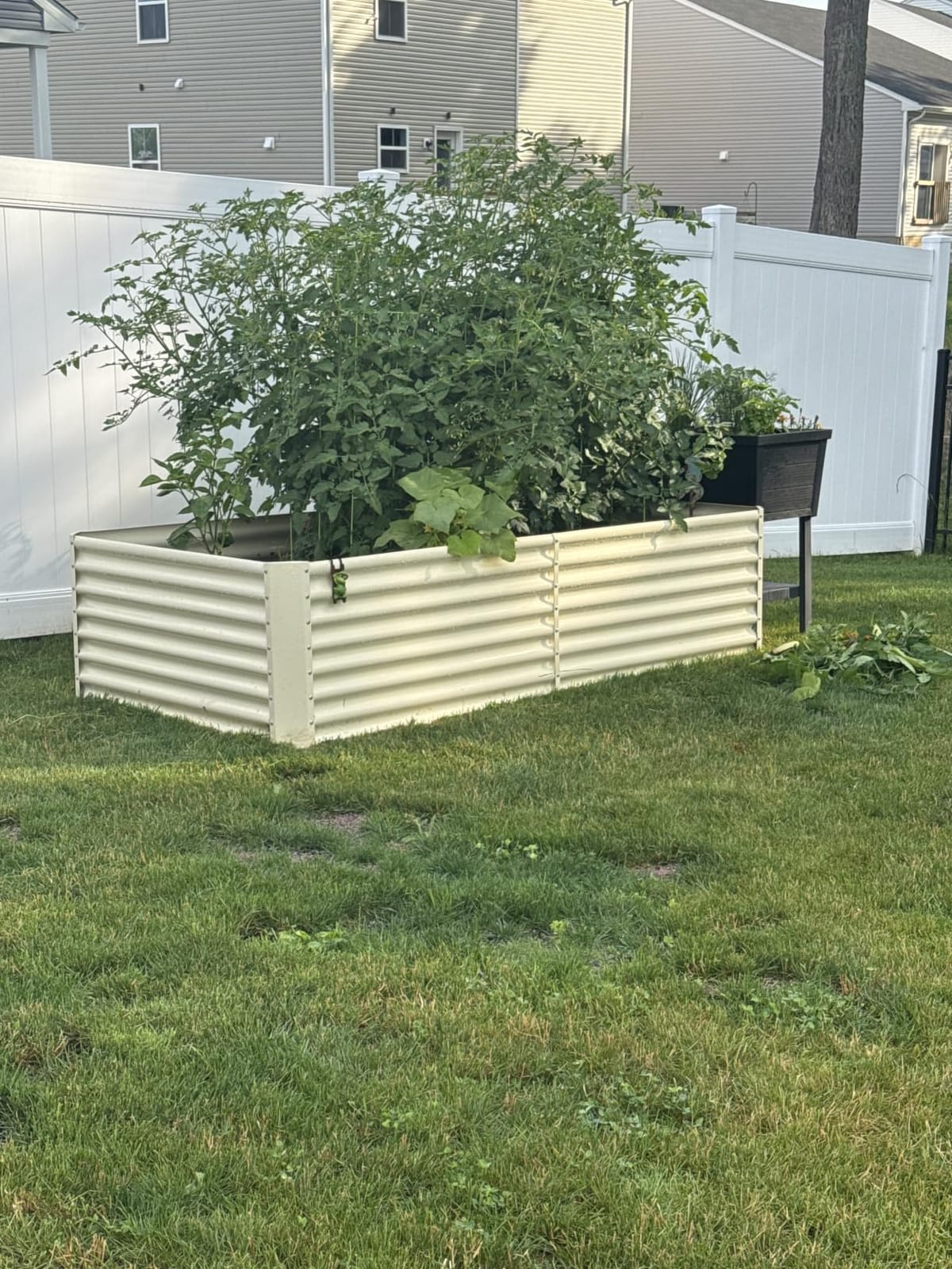 Land Guard 8x4x2 ft Galvanized Raised Garden Bed Kit, Galvanized Planter Raised Garden Boxes Outdoor, Large Metal Raised Garden Beds for Vegetables customer photo 1