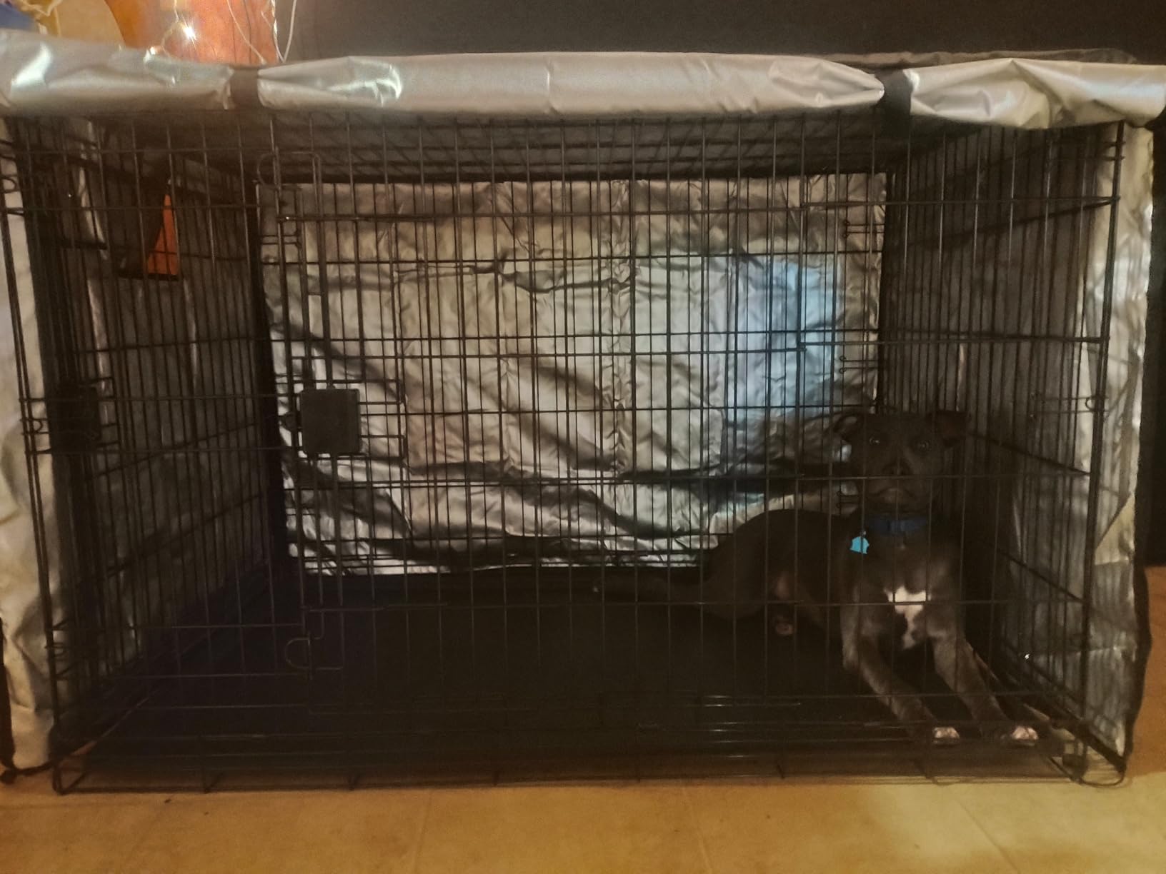 Amazon Basics Portable, Easy to Assemble, Foldable Metal Wire Dog Crate with Removable Tray, Double Door, Divider Panel, Handle, 36